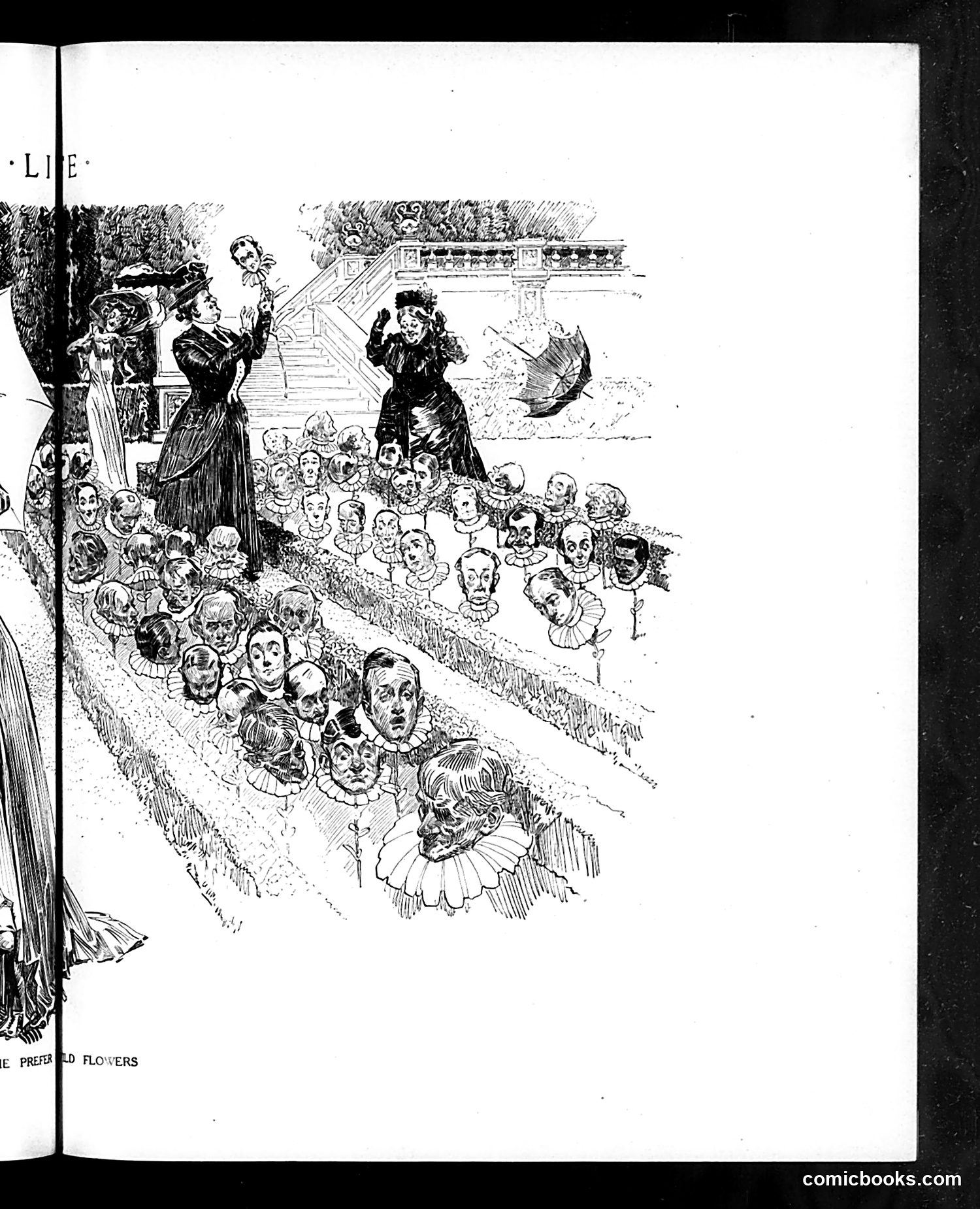 Life — May 13, 1909 — page 17 of 32