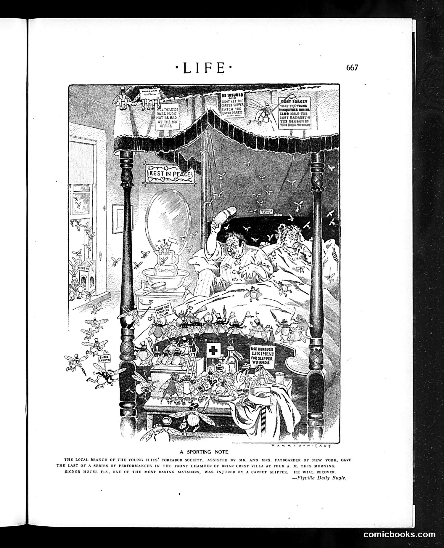 Life — May 13, 1909 — page 19 of 32