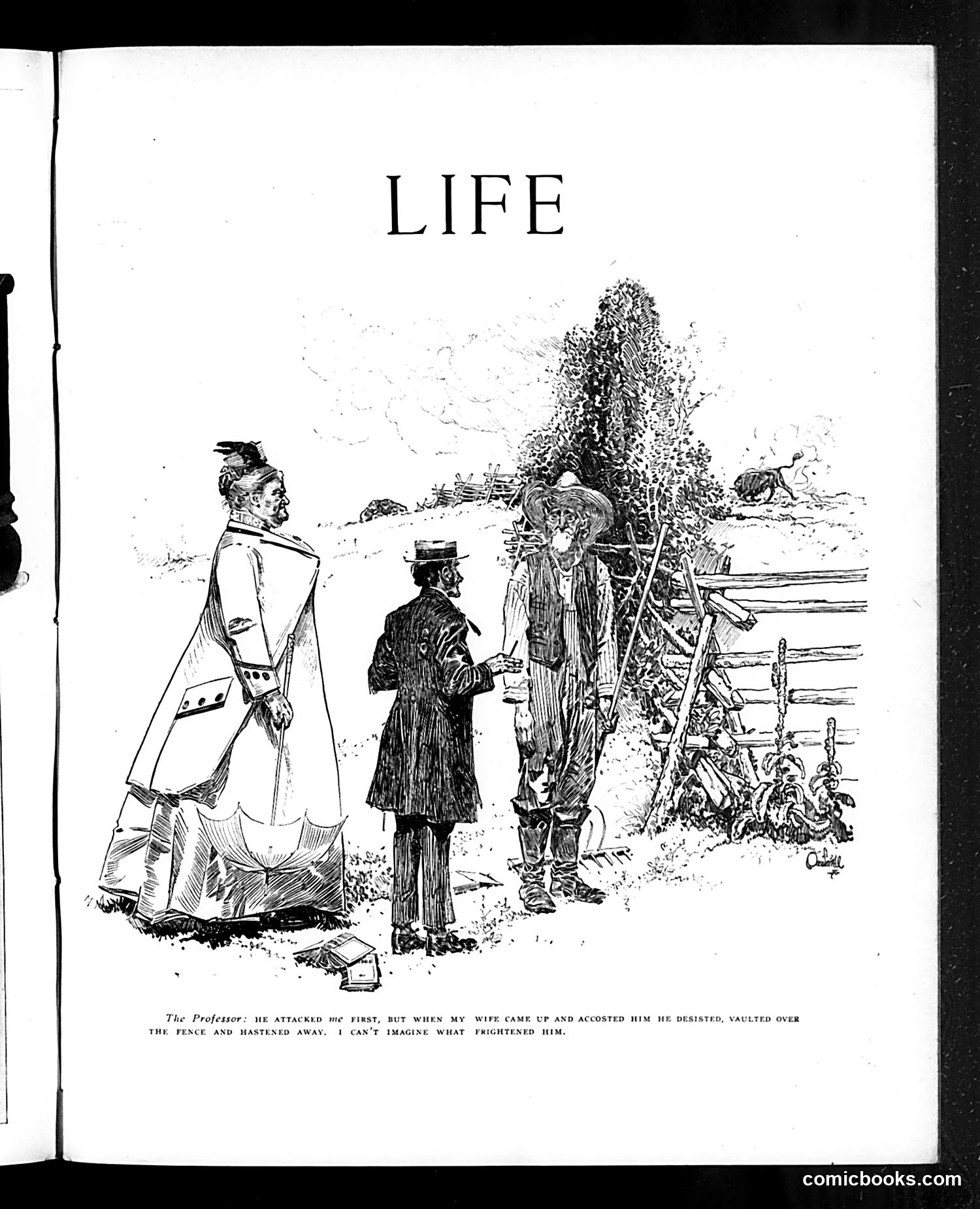 Life — May 27, 1909 — page 5 of 32
