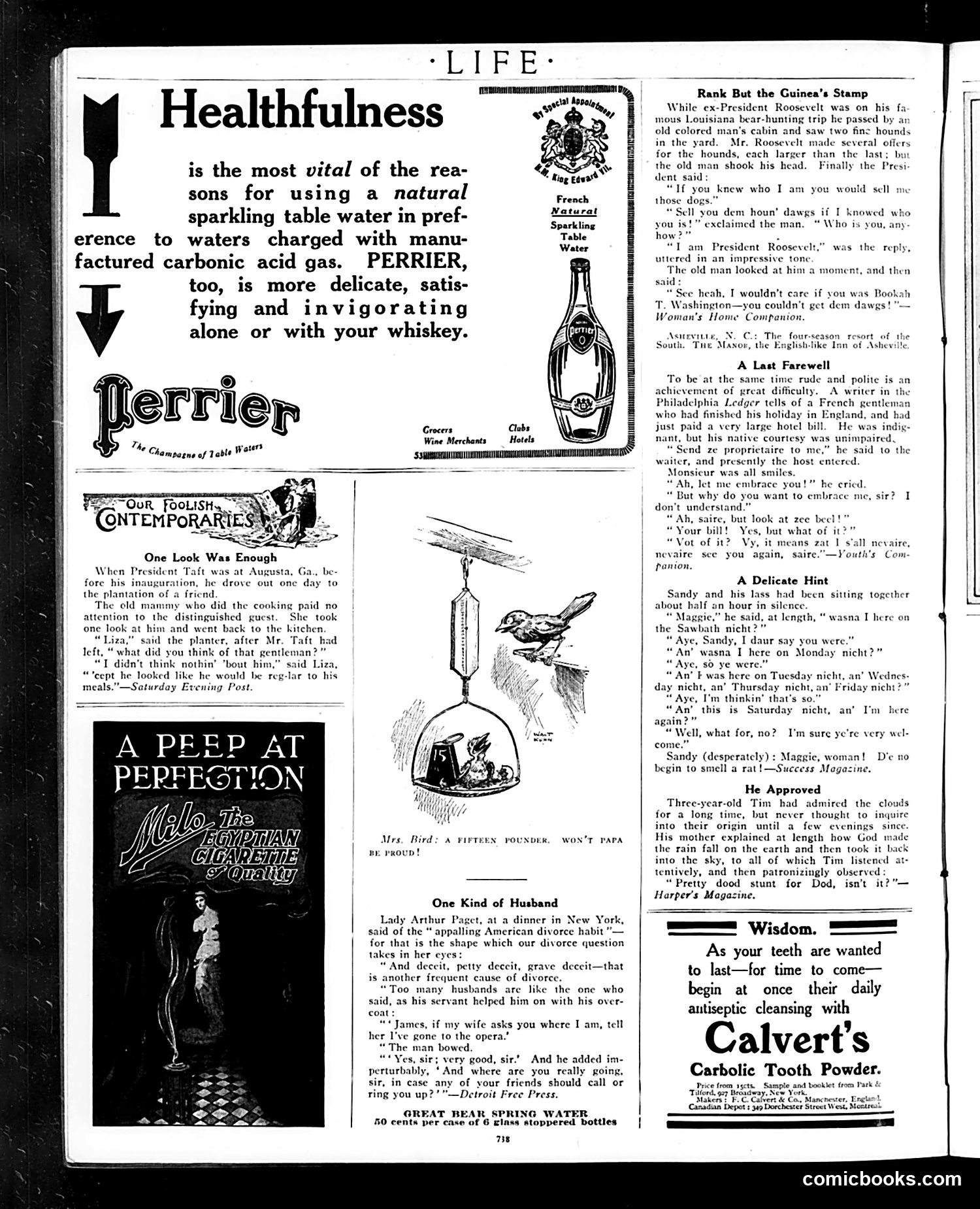 Life — May 27, 1909 — page 22 of 32