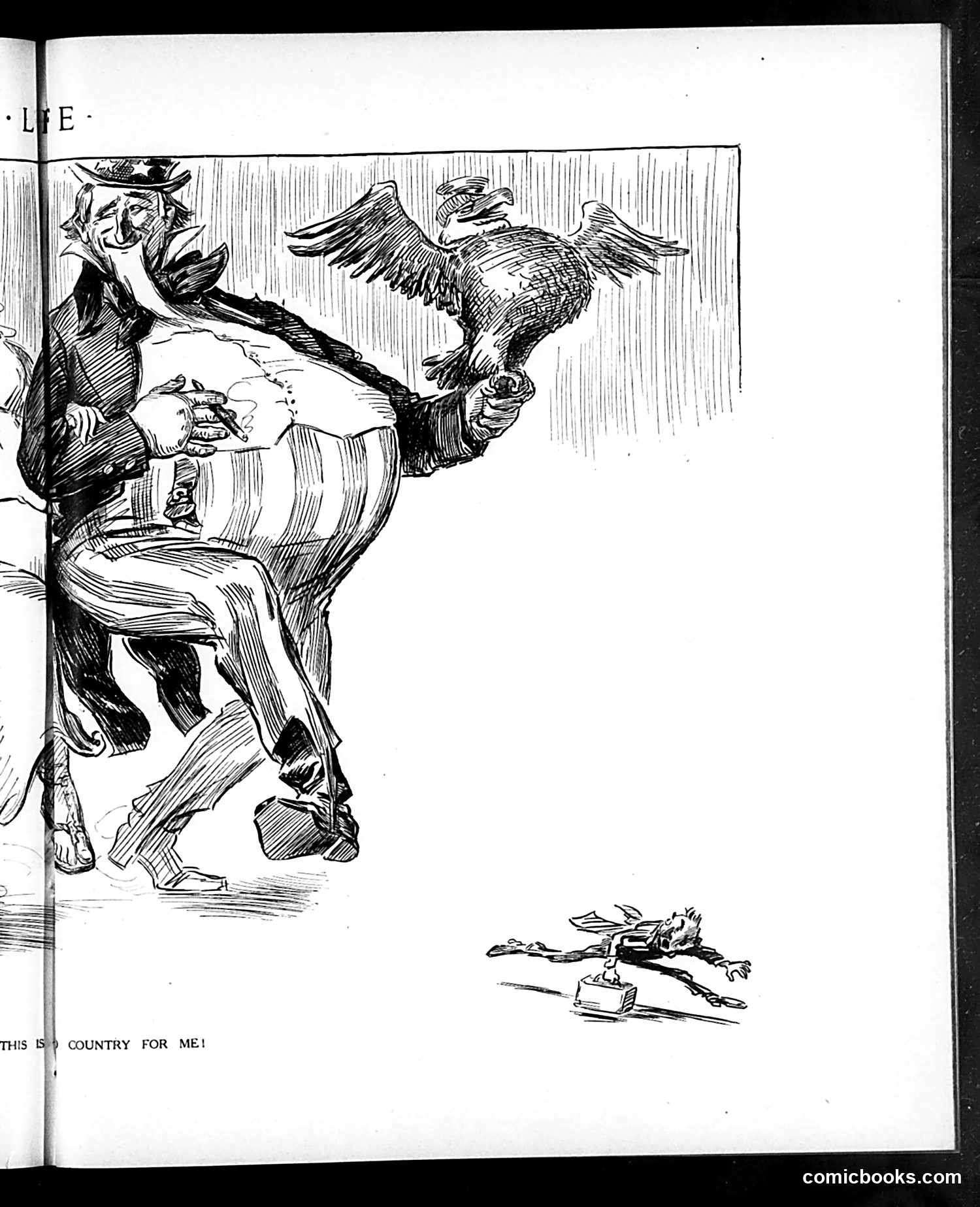 Life — June 24, 1909 — page 15 of 29
