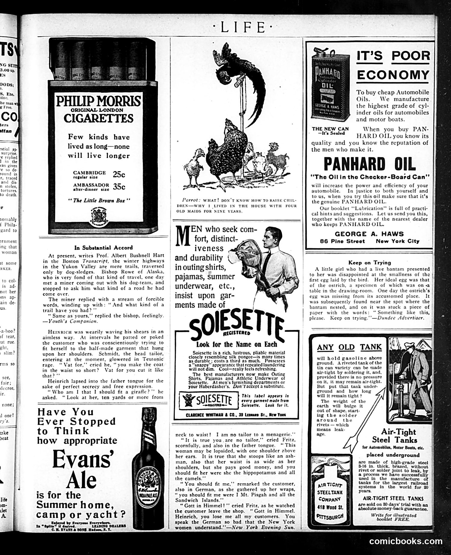 Life — June 24, 1909 — page 25 of 29