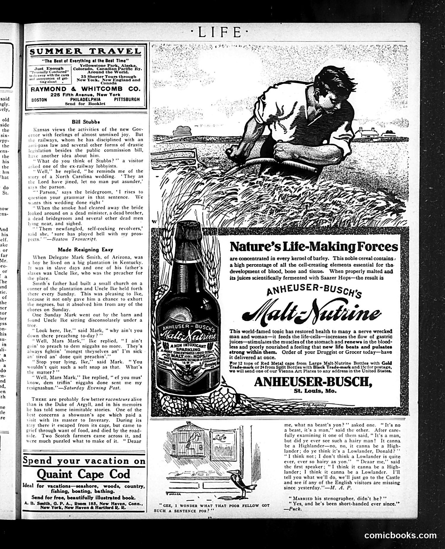 Life — July 1, 1909 — page 37 of 44