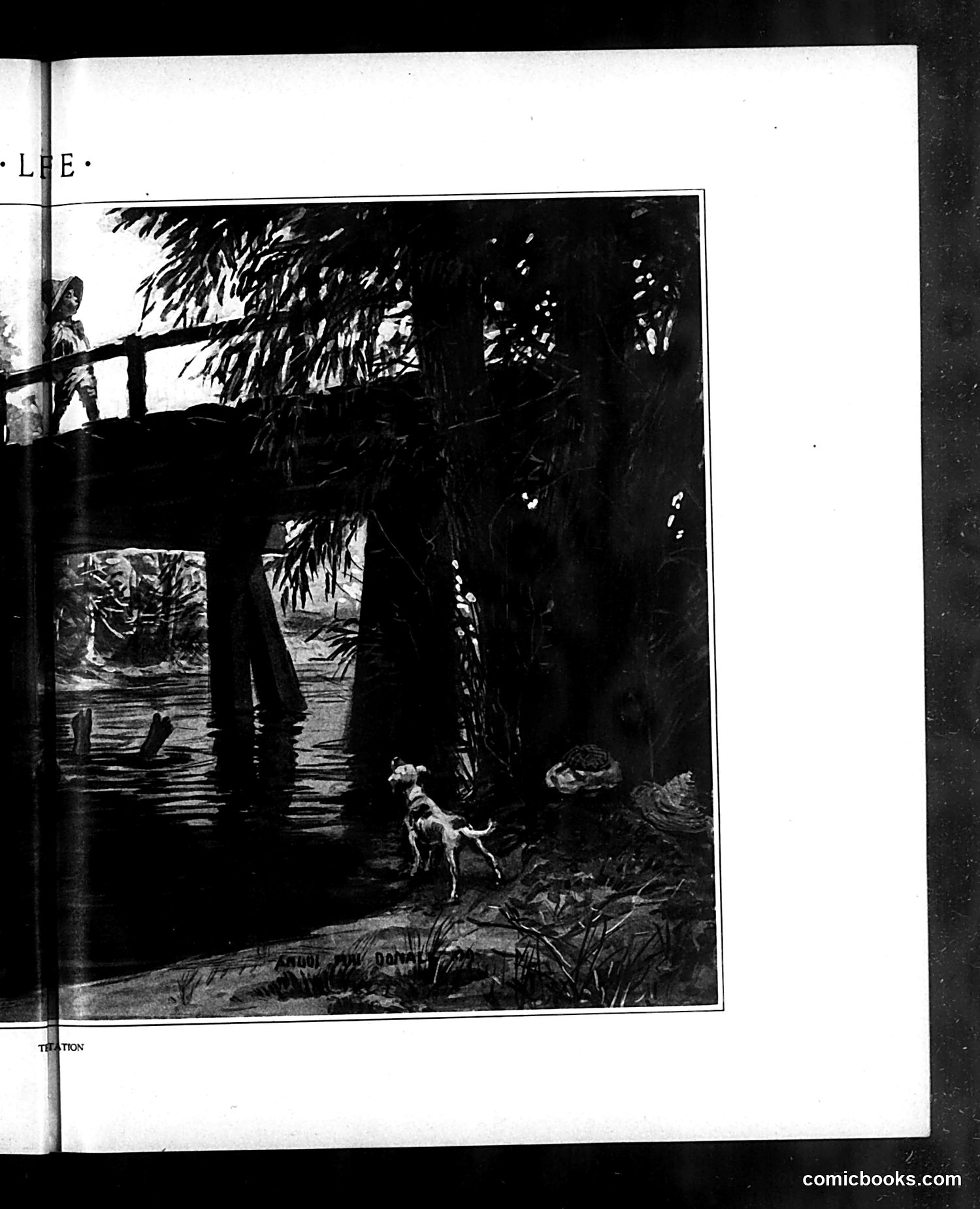 Life — July 8, 1909 — page 15 of 28