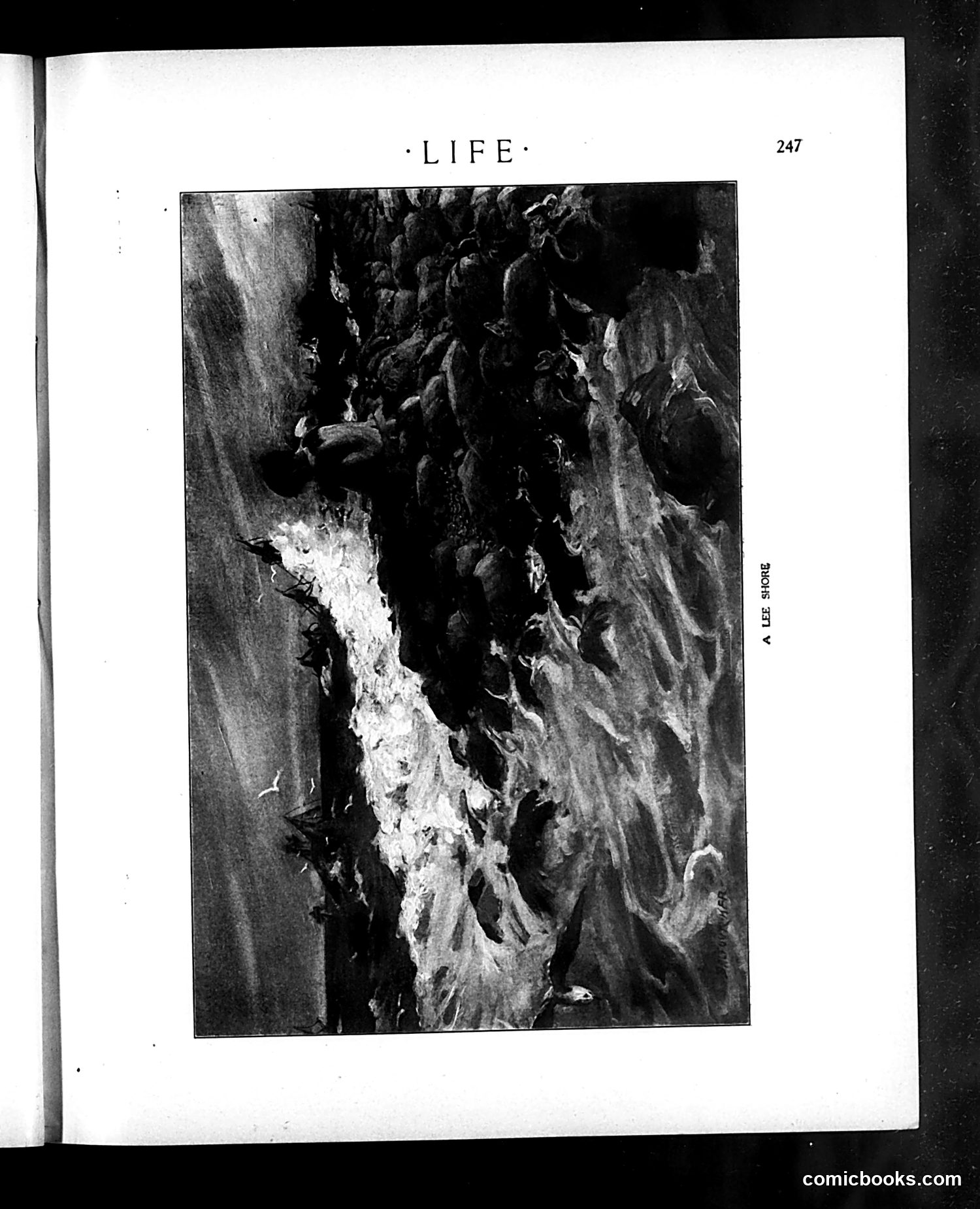 Life — August 19, 1909 — page 19 of 28