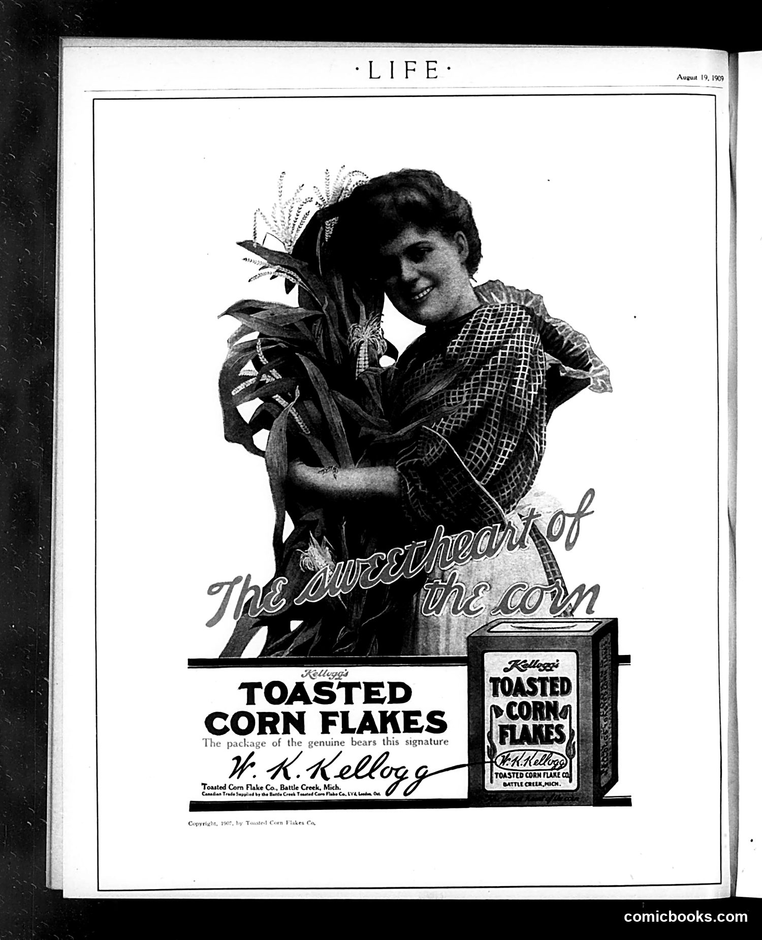 Life — August 19, 1909 — page 28 of 28