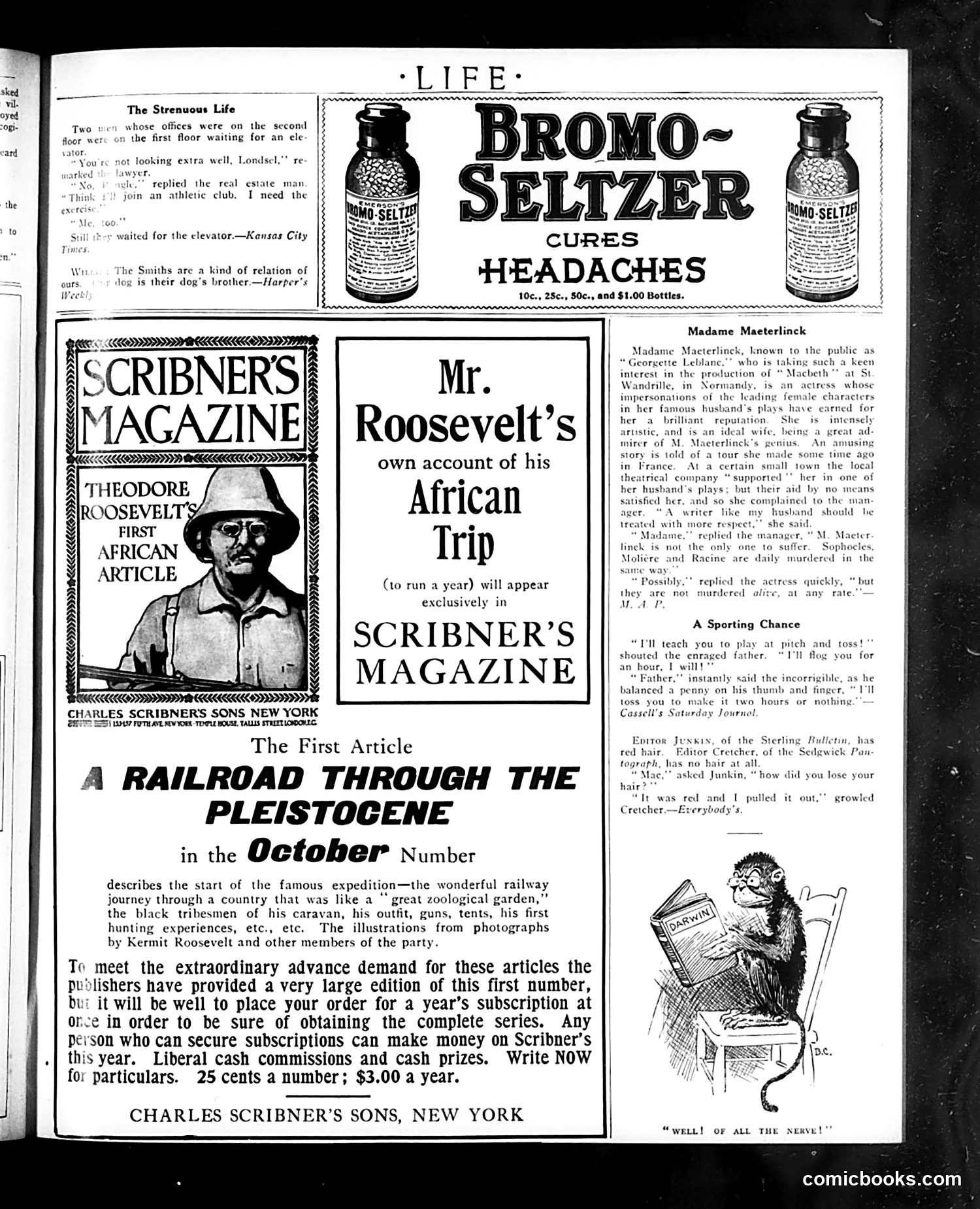 Life — October 14, 1909 — page 35 of 36