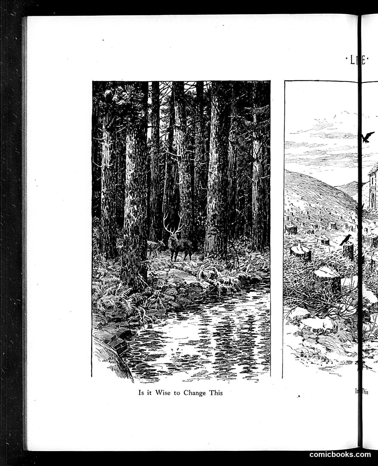 Life — February 3, 1910 — page 22 of 44