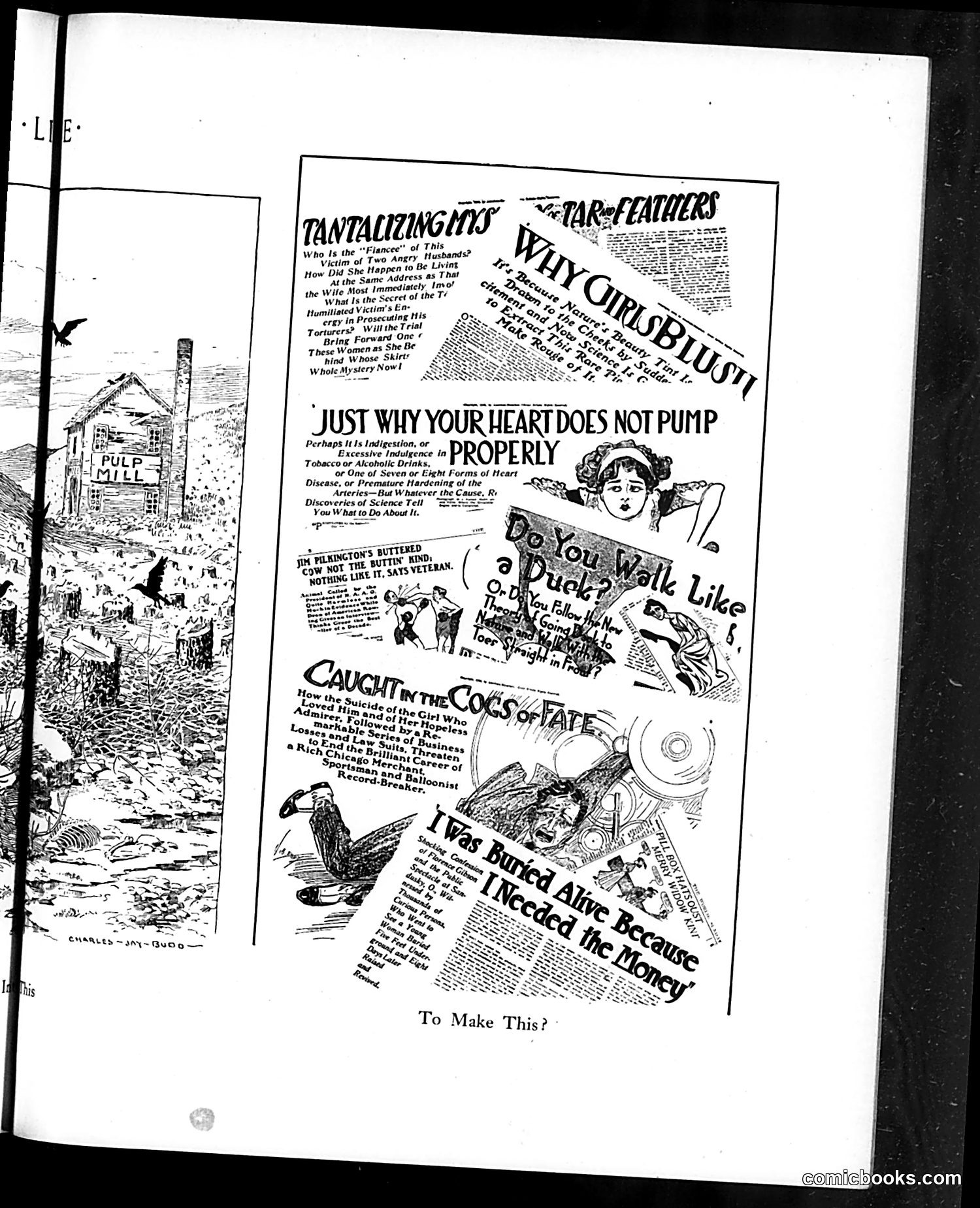 Life — February 3, 1910 — page 23 of 44