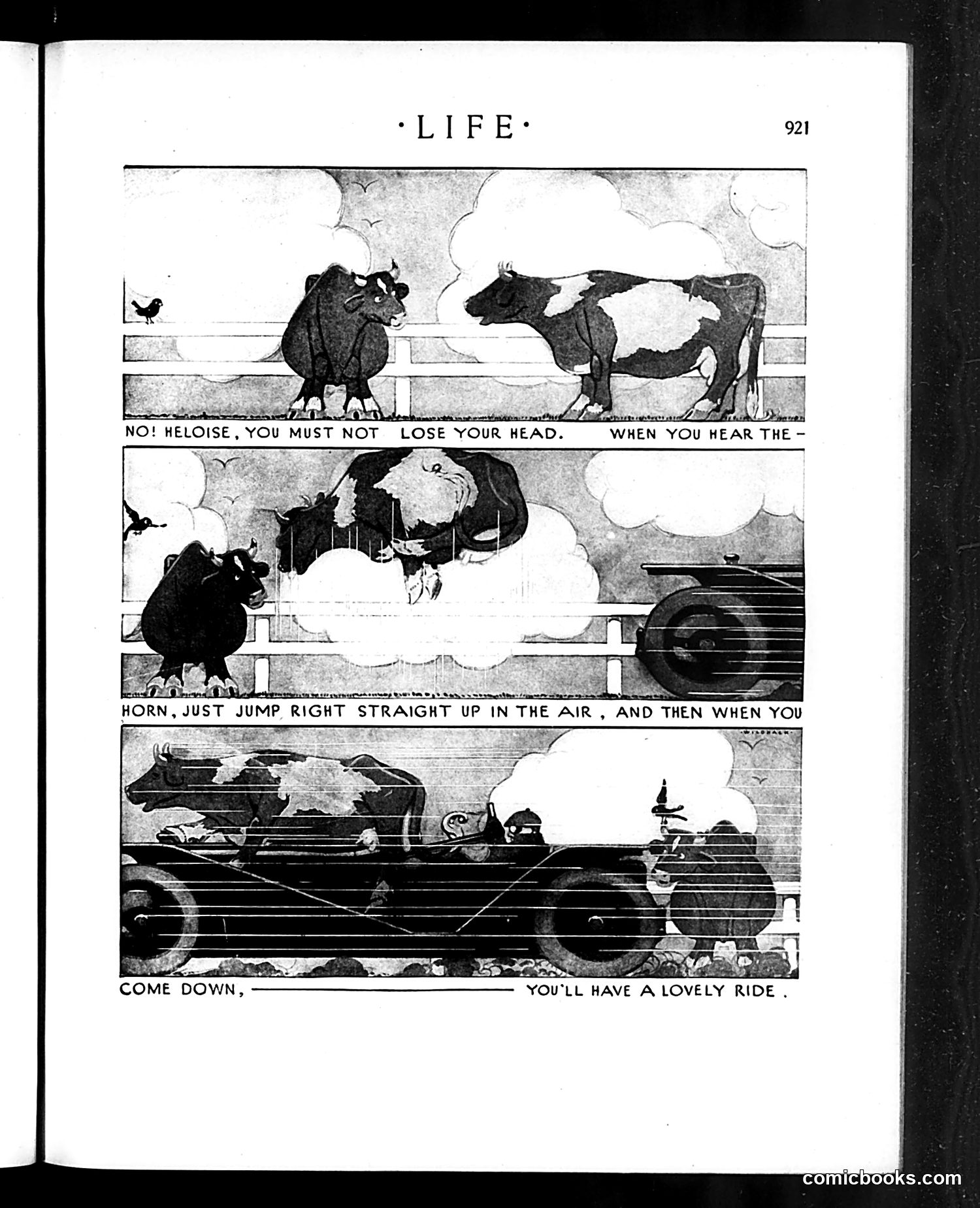 Life — May 19, 1910 — page 17 of 40