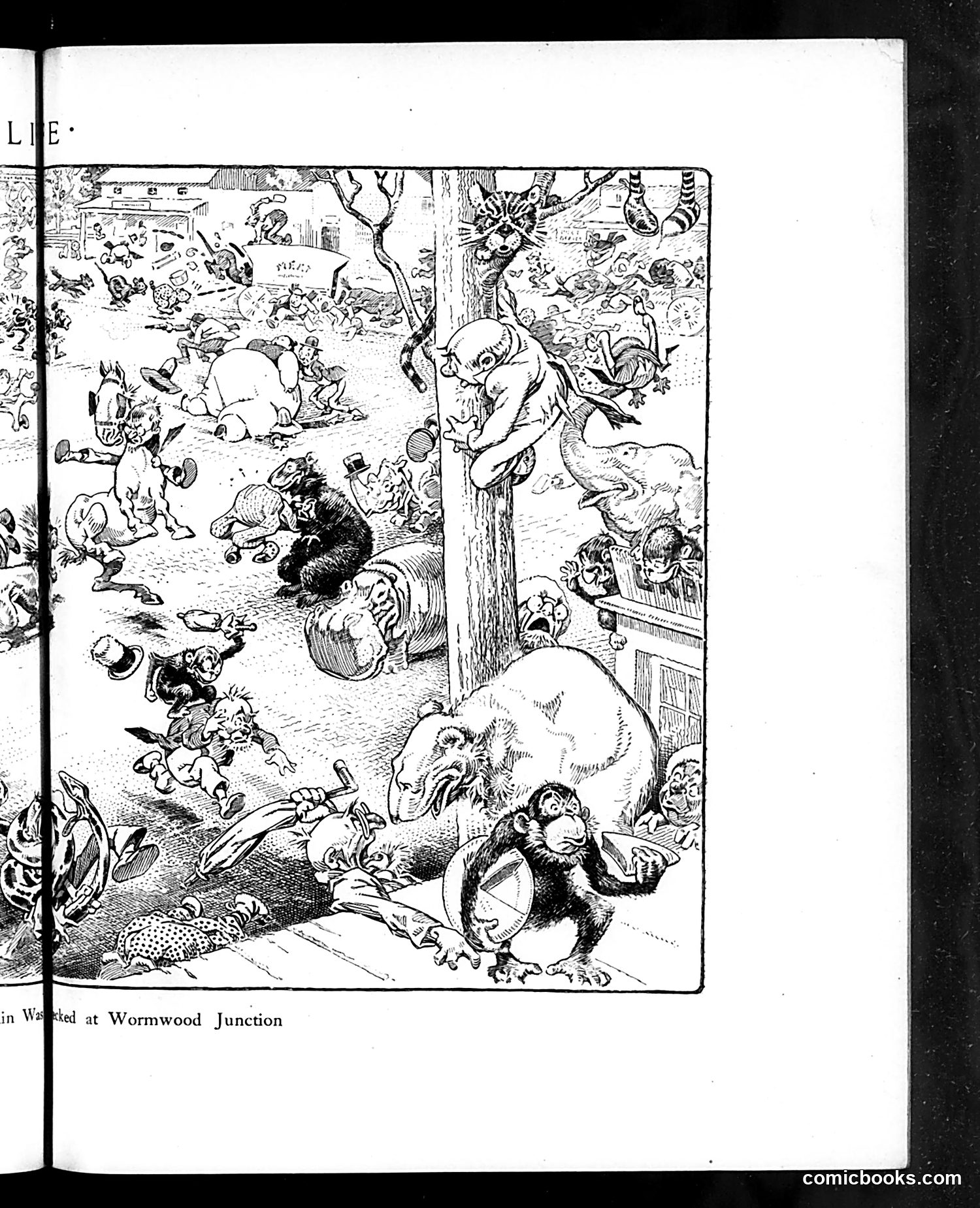 Life — May 19, 1910 — page 21 of 40