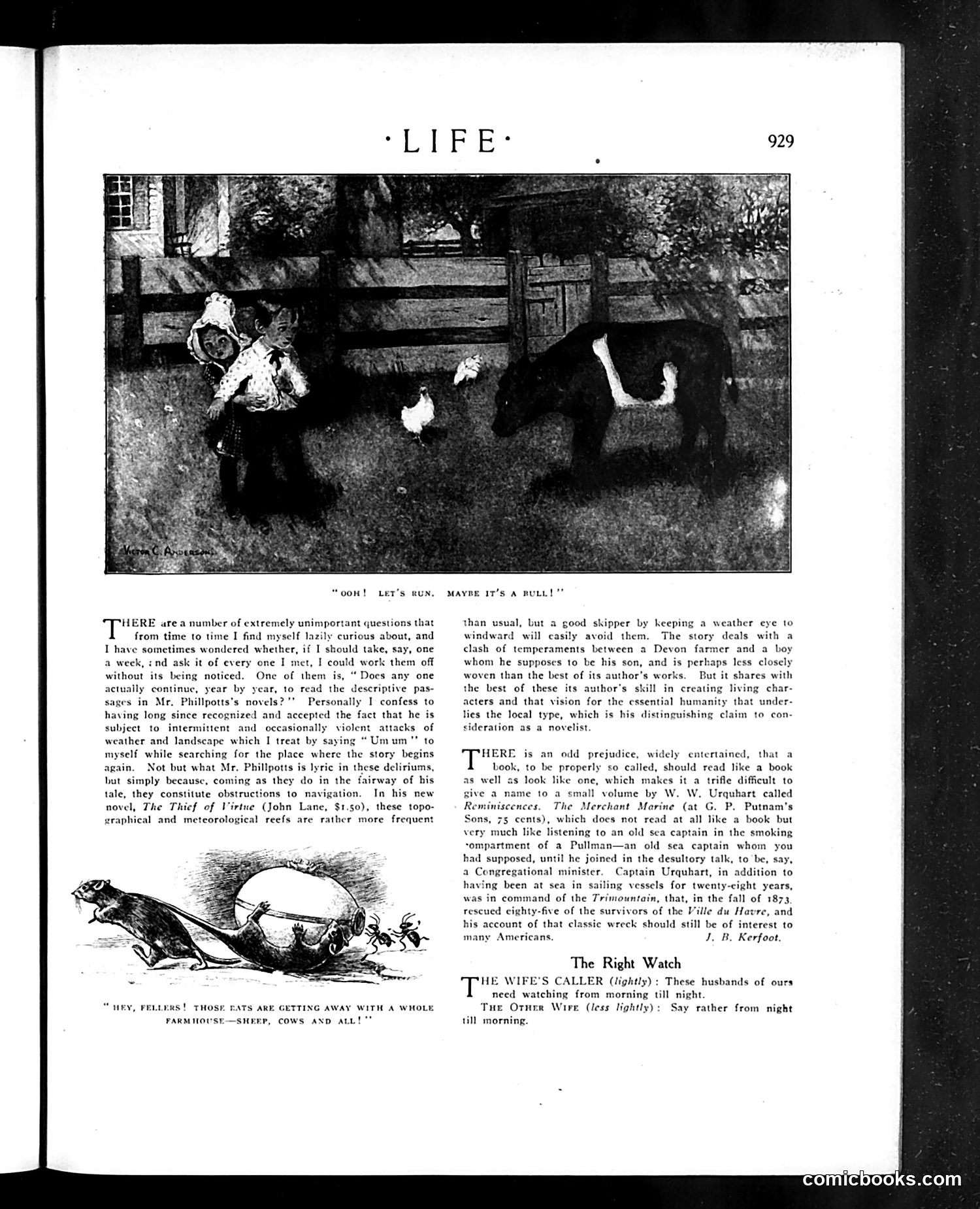 Life — May 19, 1910 — page 25 of 40