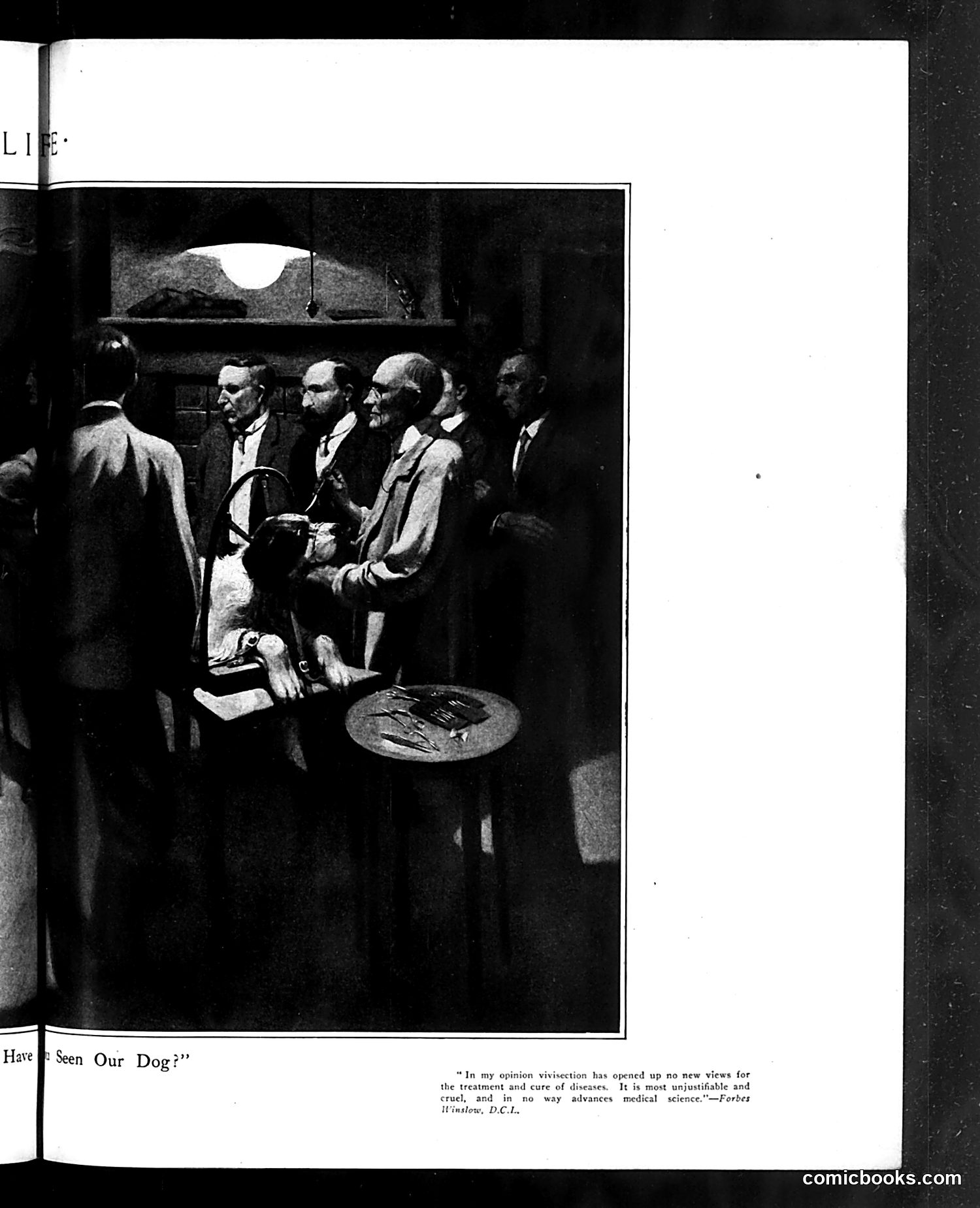 Life — May 26, 1910 — page 23 of 44