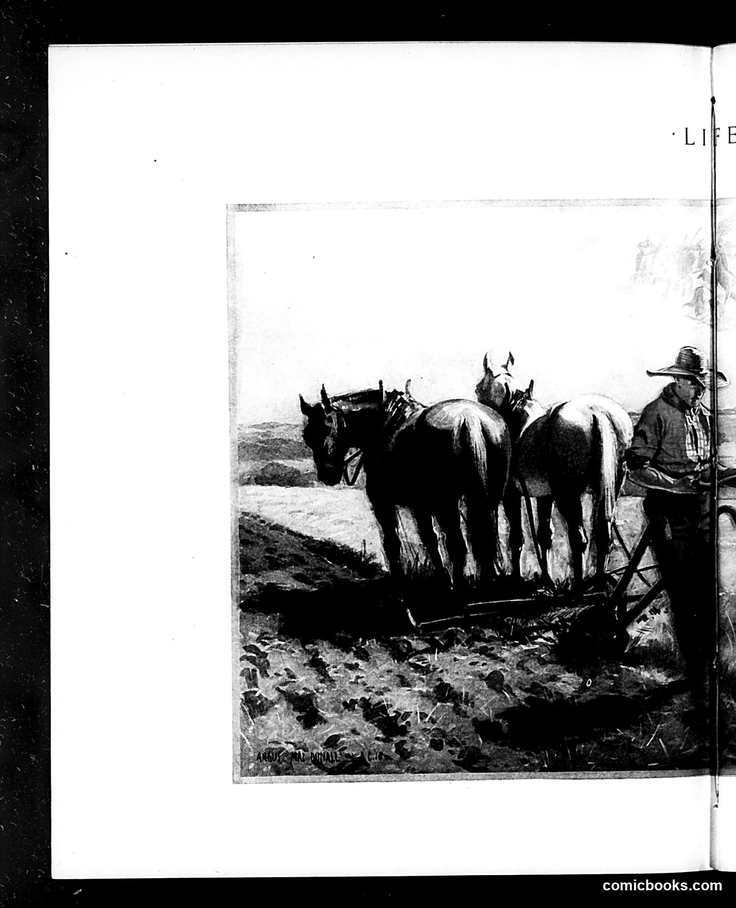 Life — June 30, 1910 — page 20 of 41