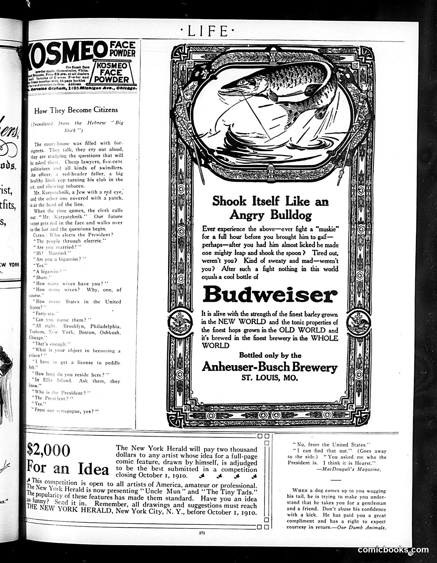 Life — September 1, 1910 — page 43 of 48