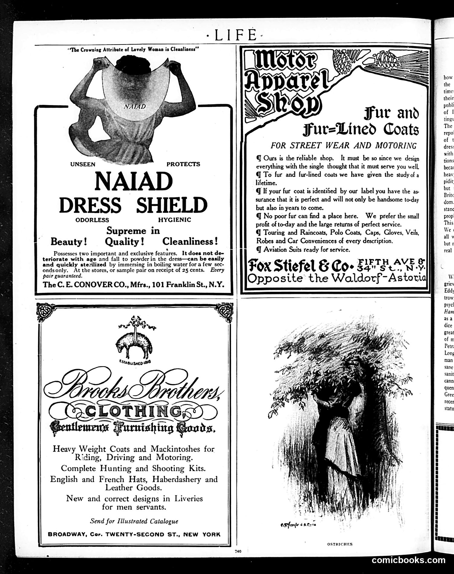 Life — November 3, 1910 — page 12 of 72