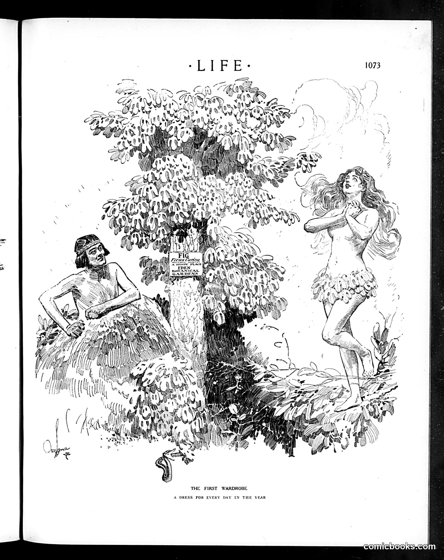Life — December 8, 1910 — page 29 of 44