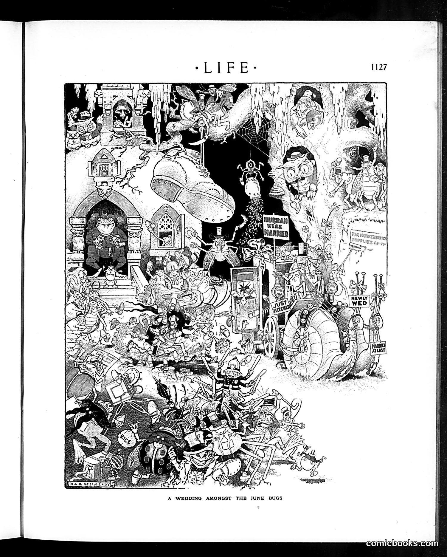 Life — June 8, 1911 — page 27 of 44