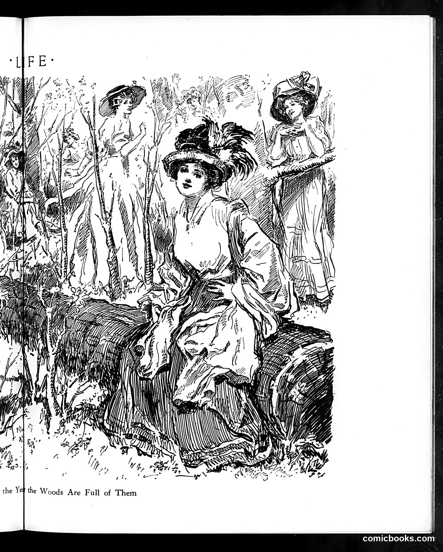 Life — June 15, 1911 — page 23 of 44