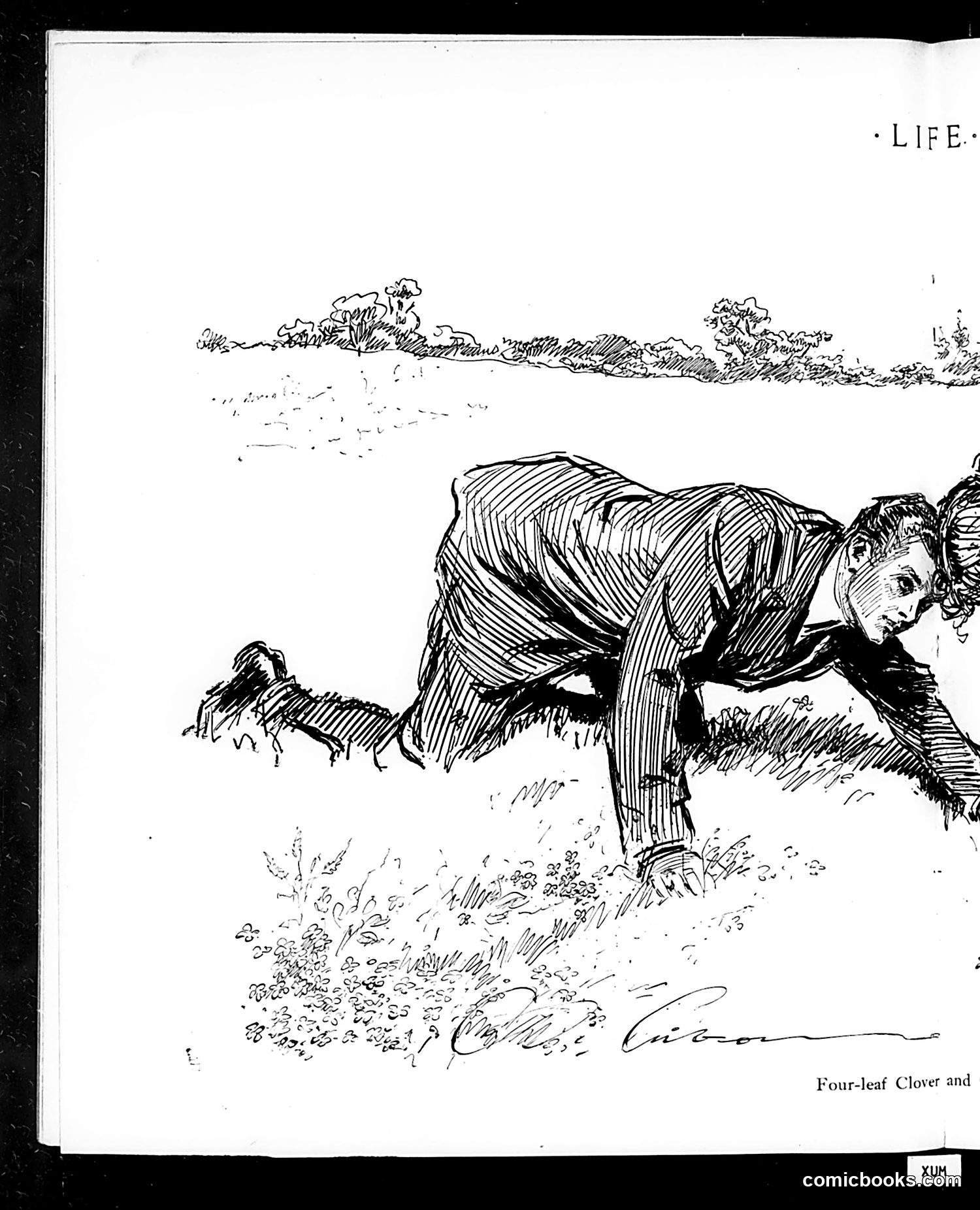Life — July 20, 1911 — page 20 of 40