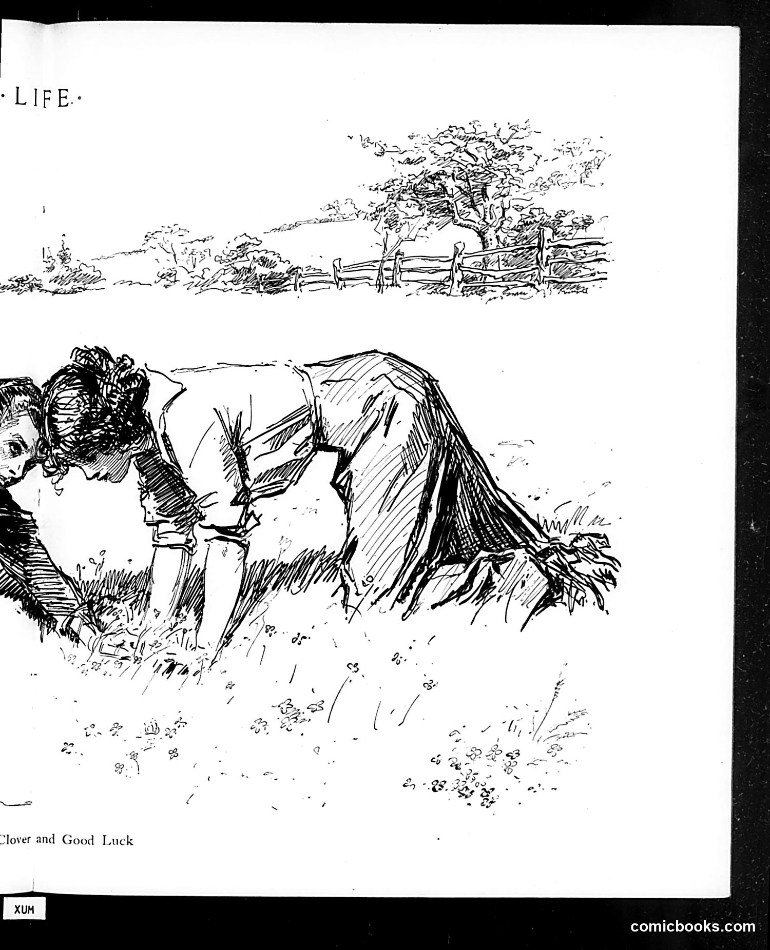 Life — July 20, 1911 — page 21 of 40