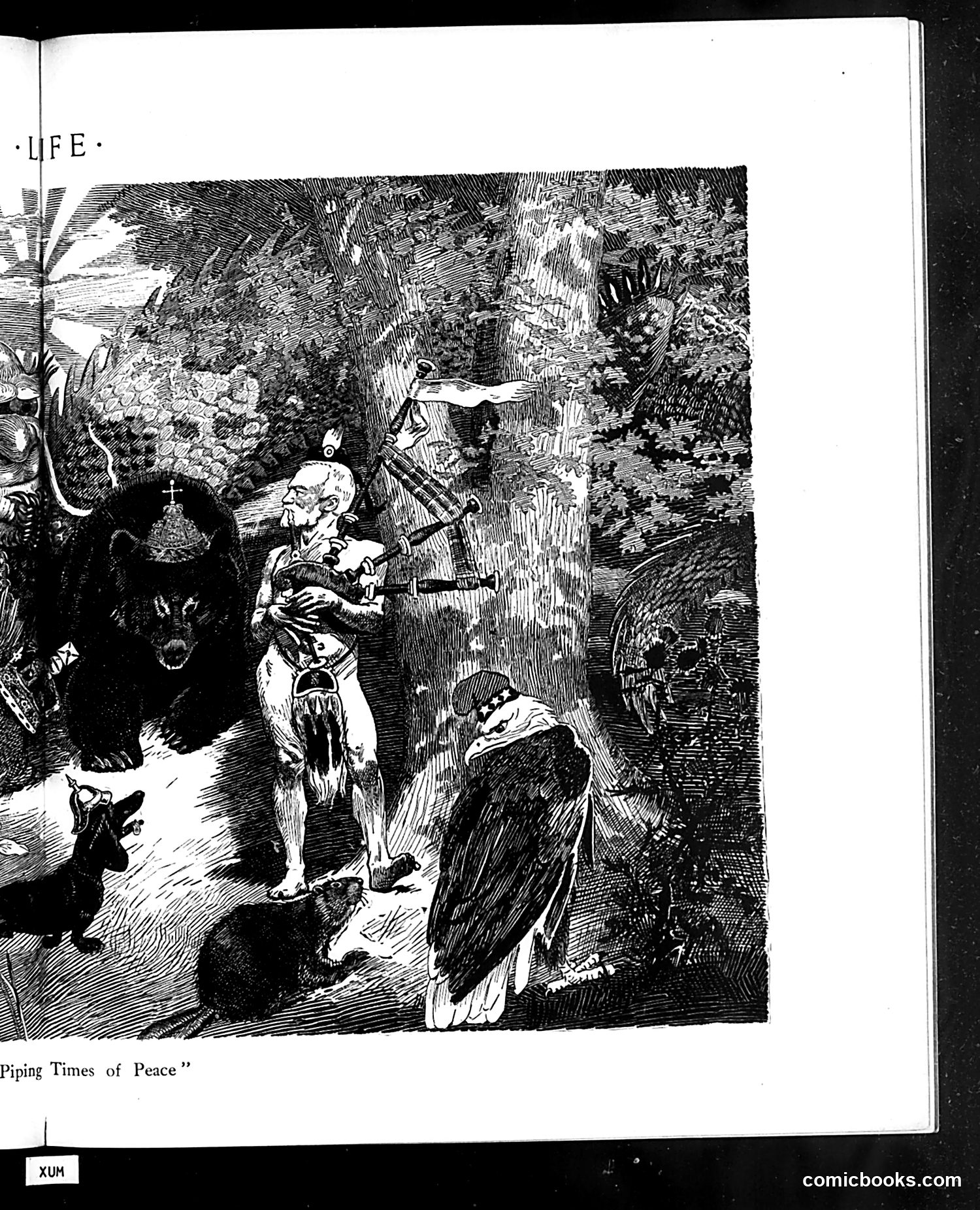 Life — July 27, 1911 — page 21 of 40