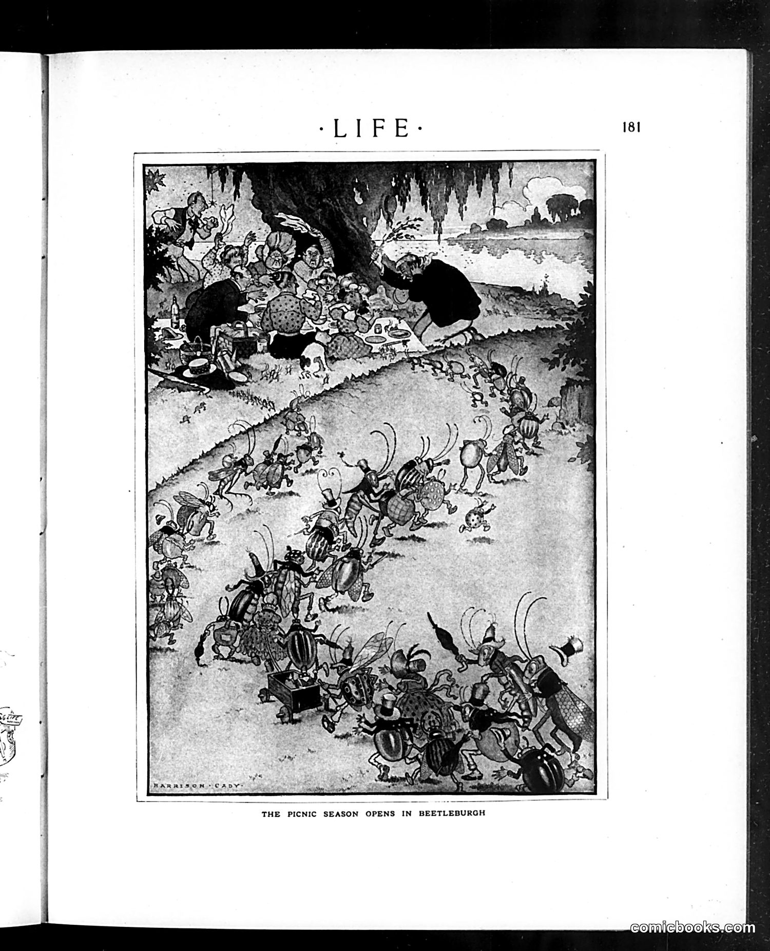 Life — August 3, 1911 — page 13 of 40