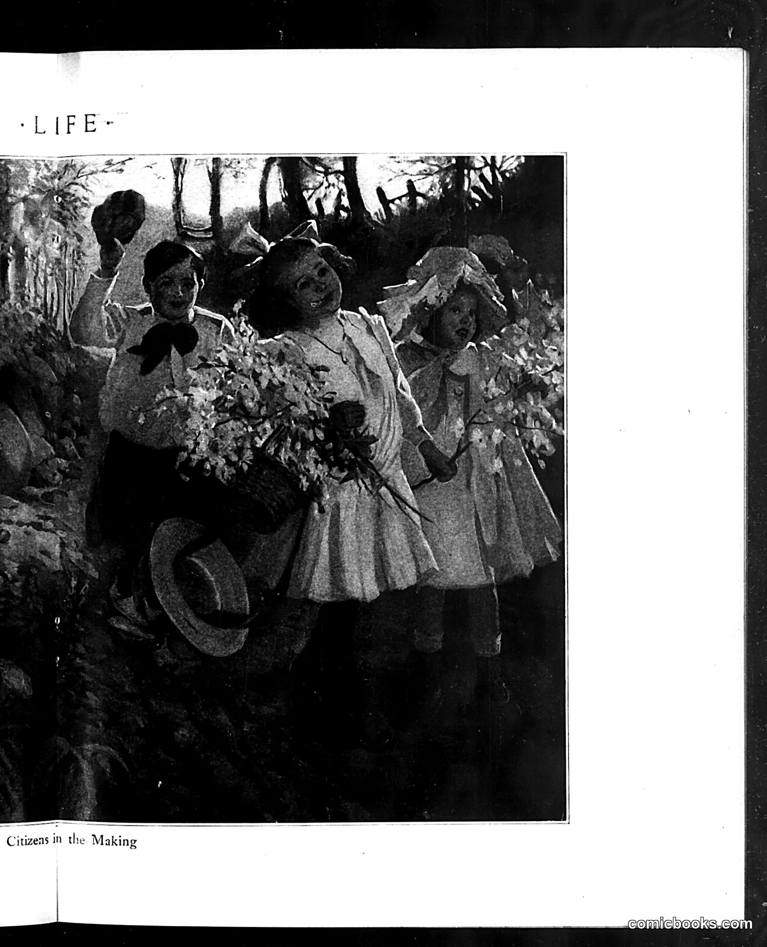 Life — August 3, 1911 — page 21 of 40