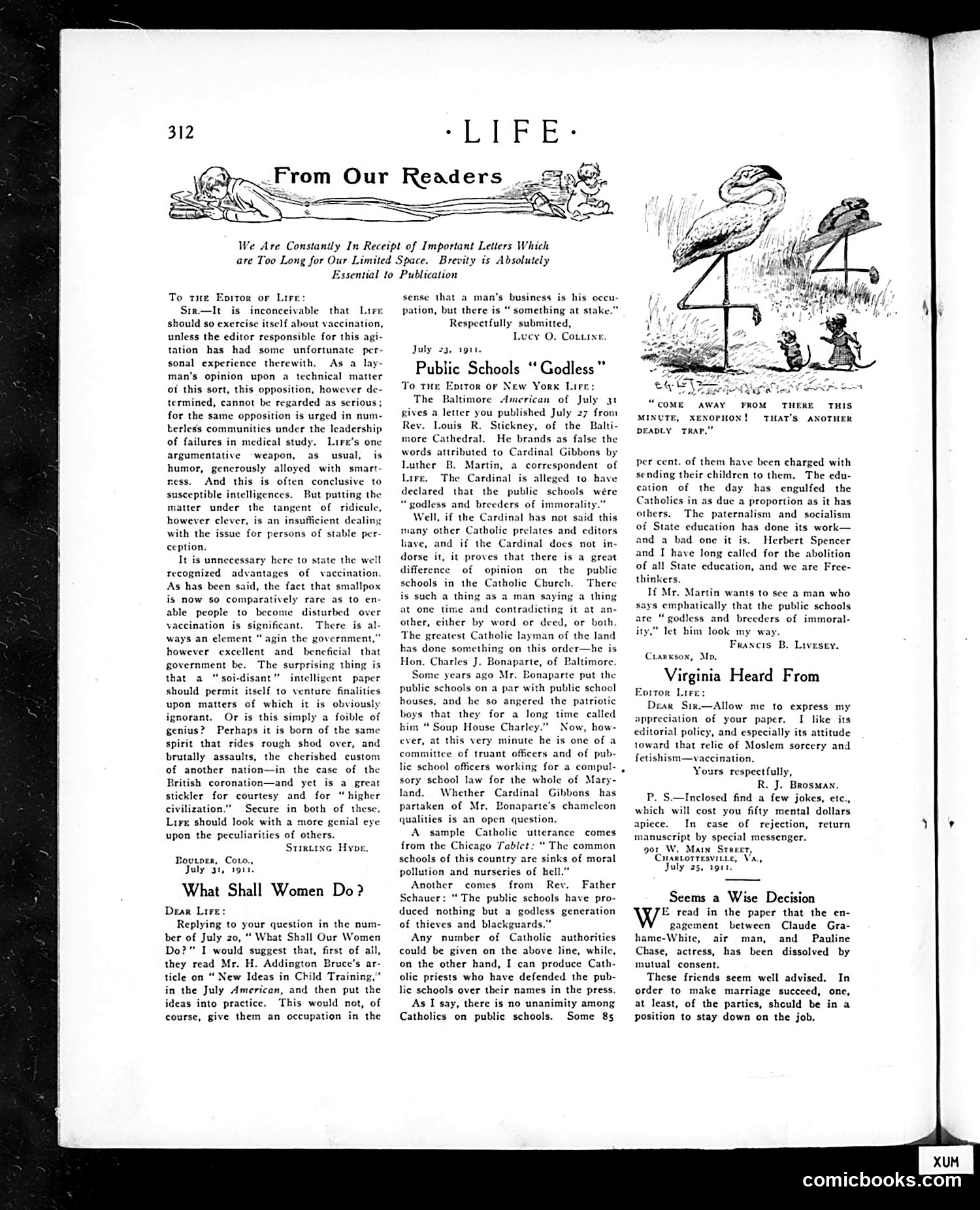Life — August 24, 1911 — page 24 of 40