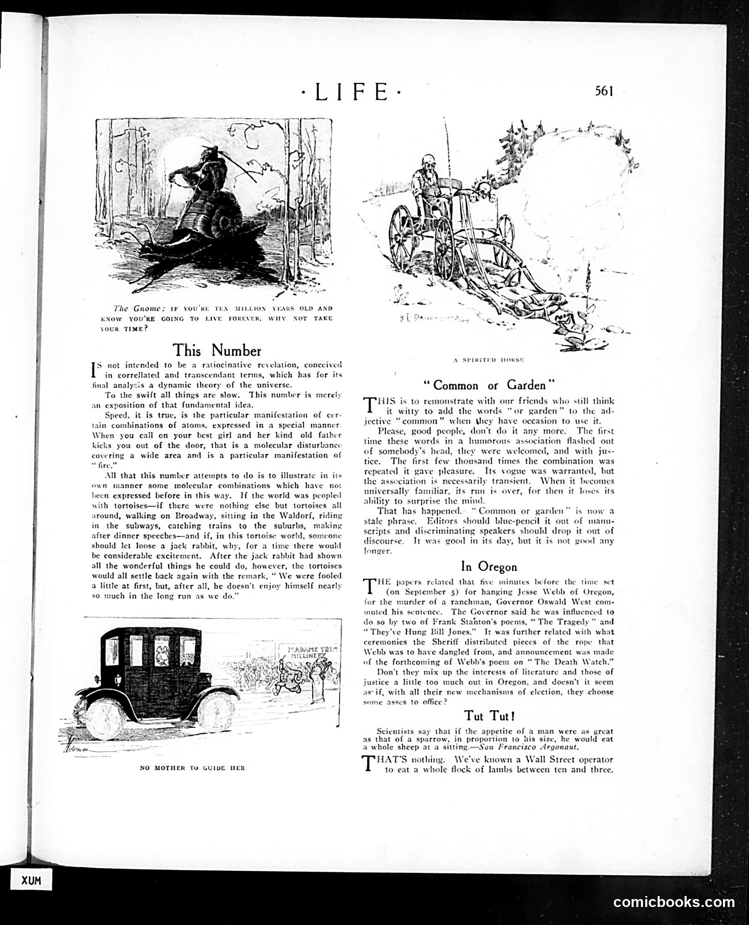 Life — October 5, 1911 — page 13 of 50