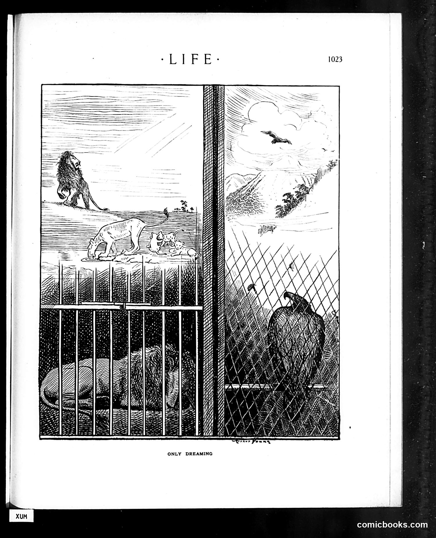 Life — December 7, 1911 — page 61 of 112