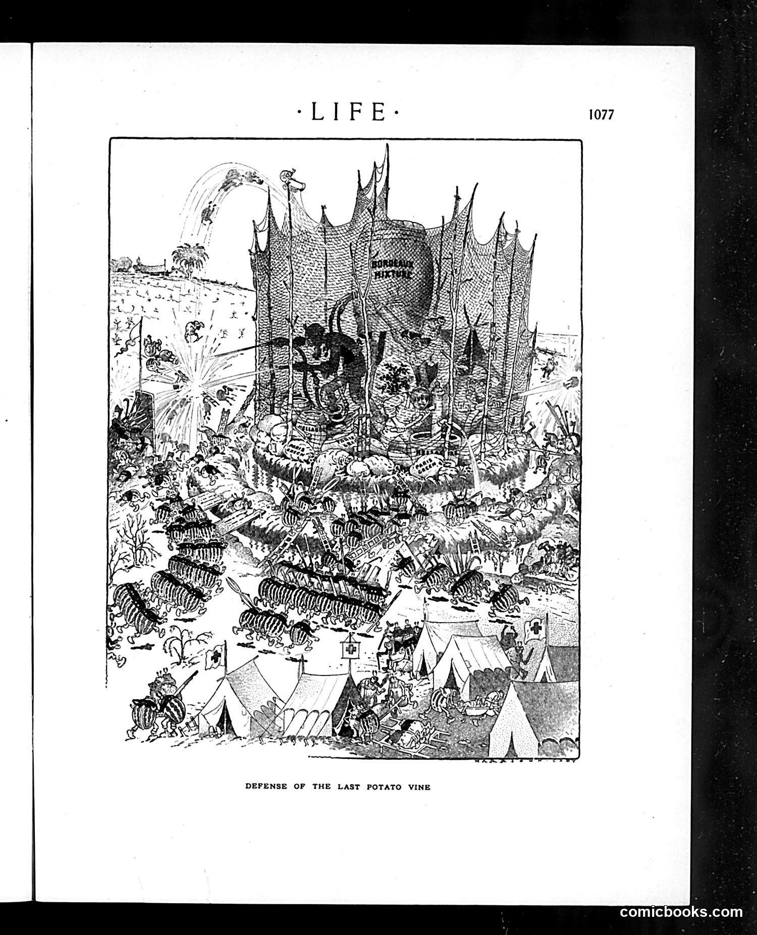 Life — May 23, 1912 — page 25 of 44