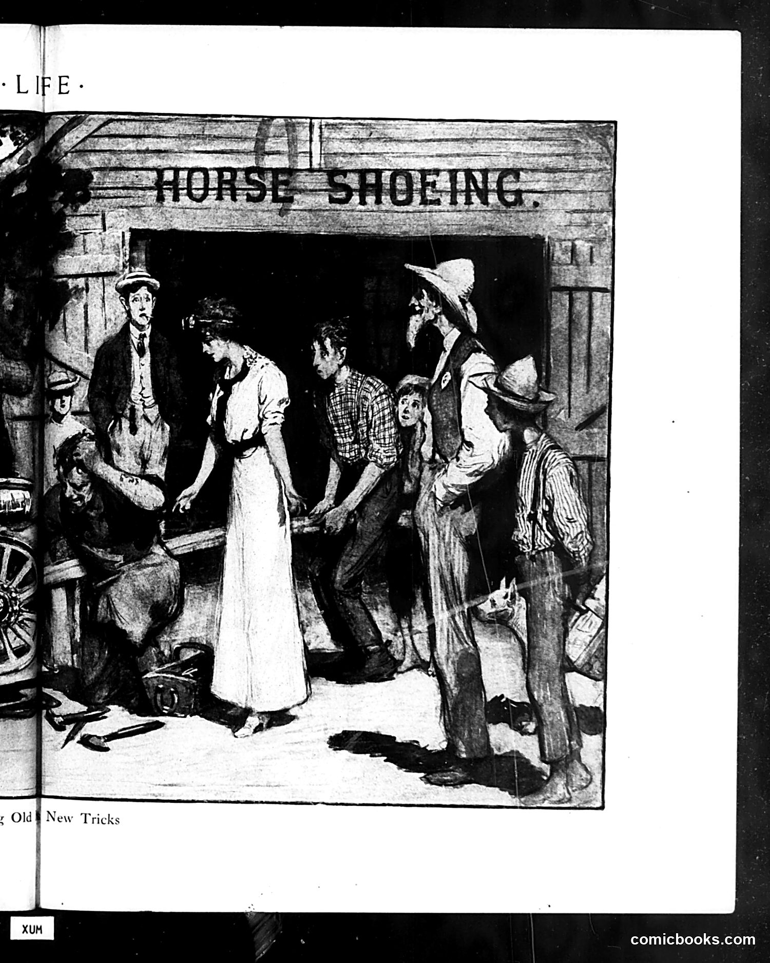 Life — July 4, 1912 — page 23 of 44