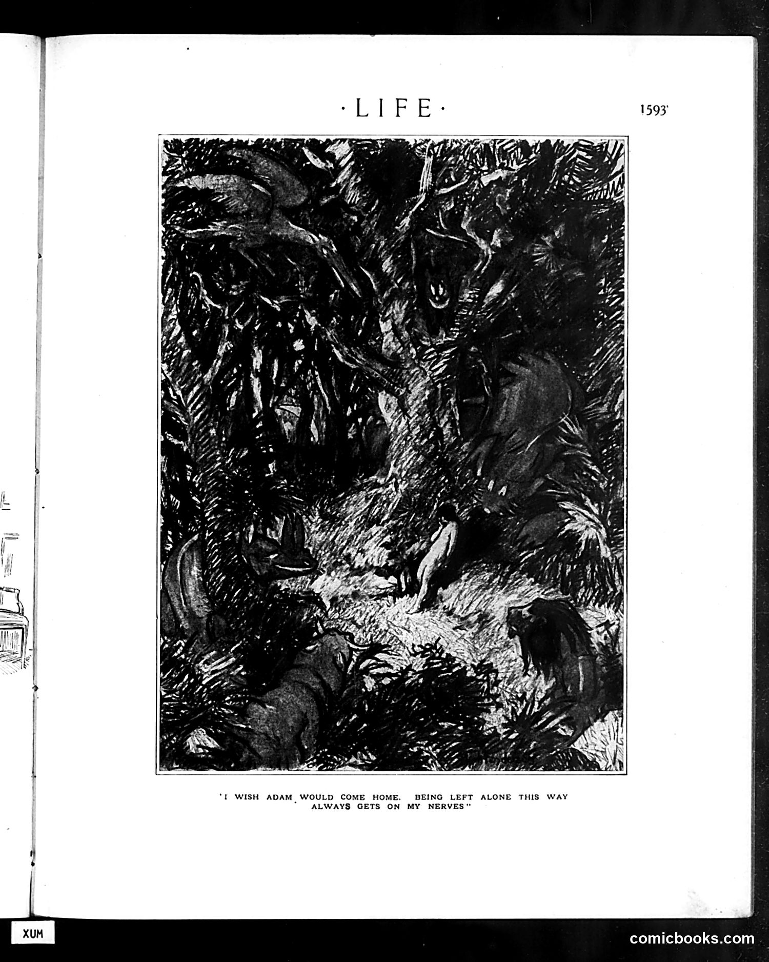 Life — August 15, 1912 — page 13 of 40