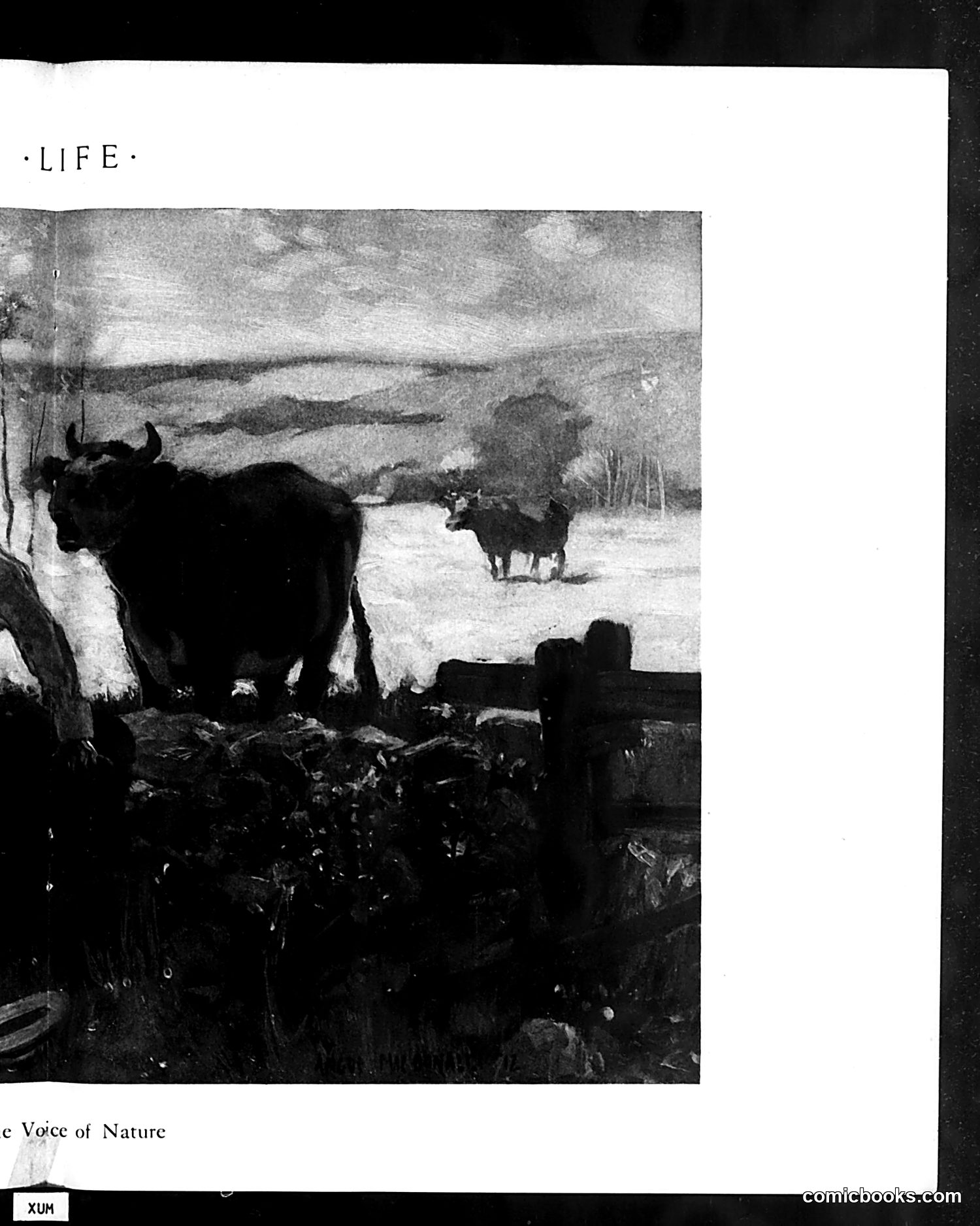 Life — August 22, 1912 — page 23 of 44