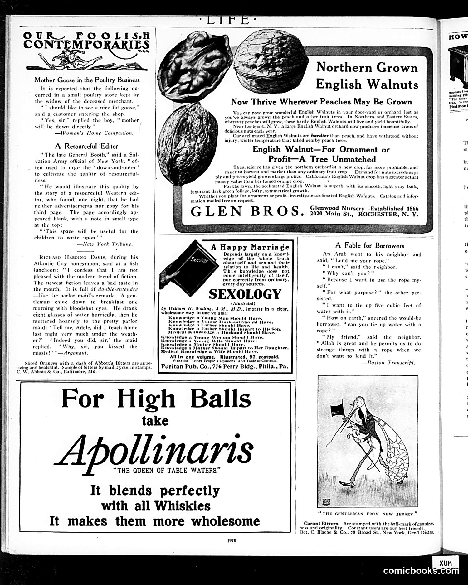 Life — October 10, 1912 — page 34 of 48