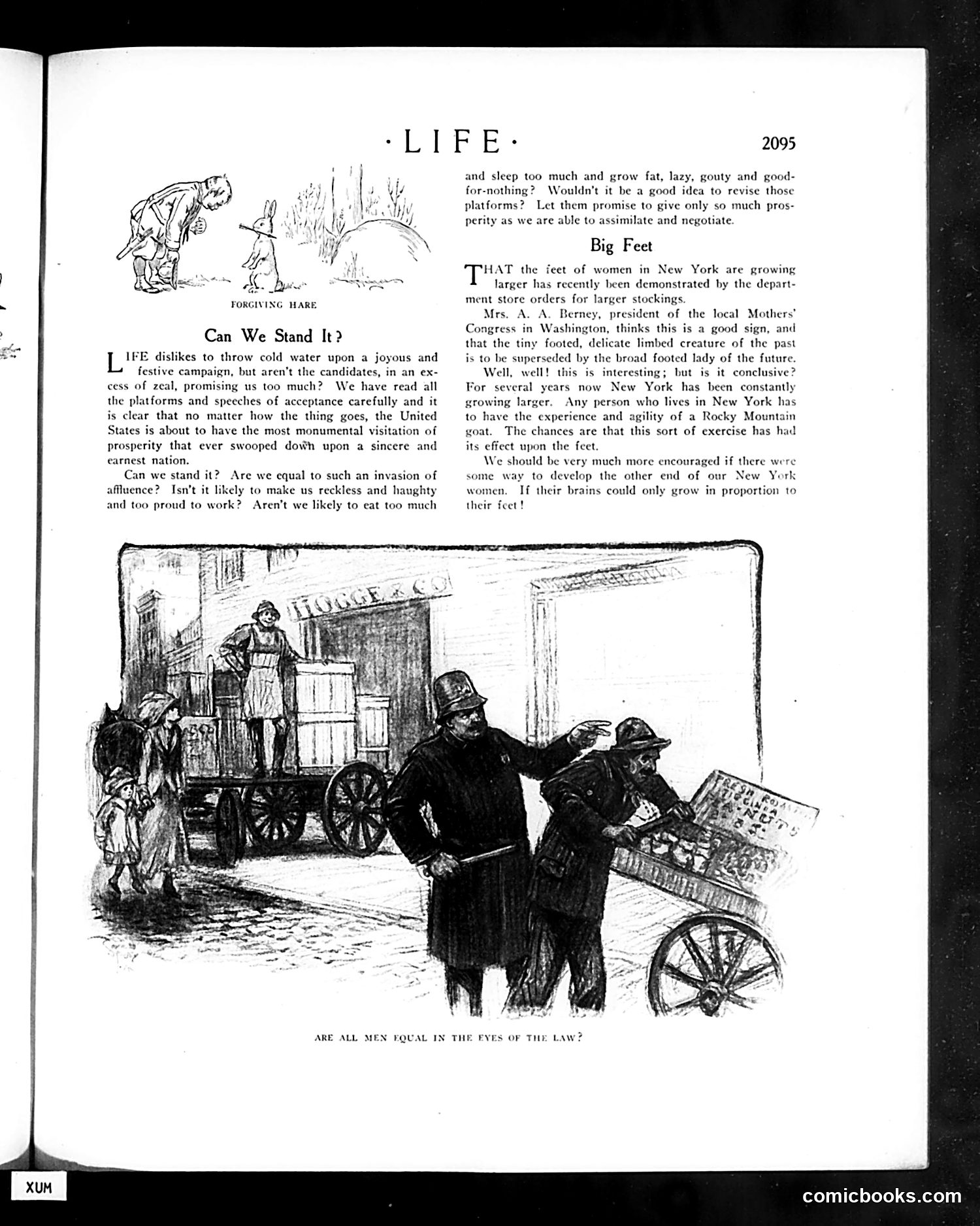 Life — October 31, 1912 — page 19 of 44