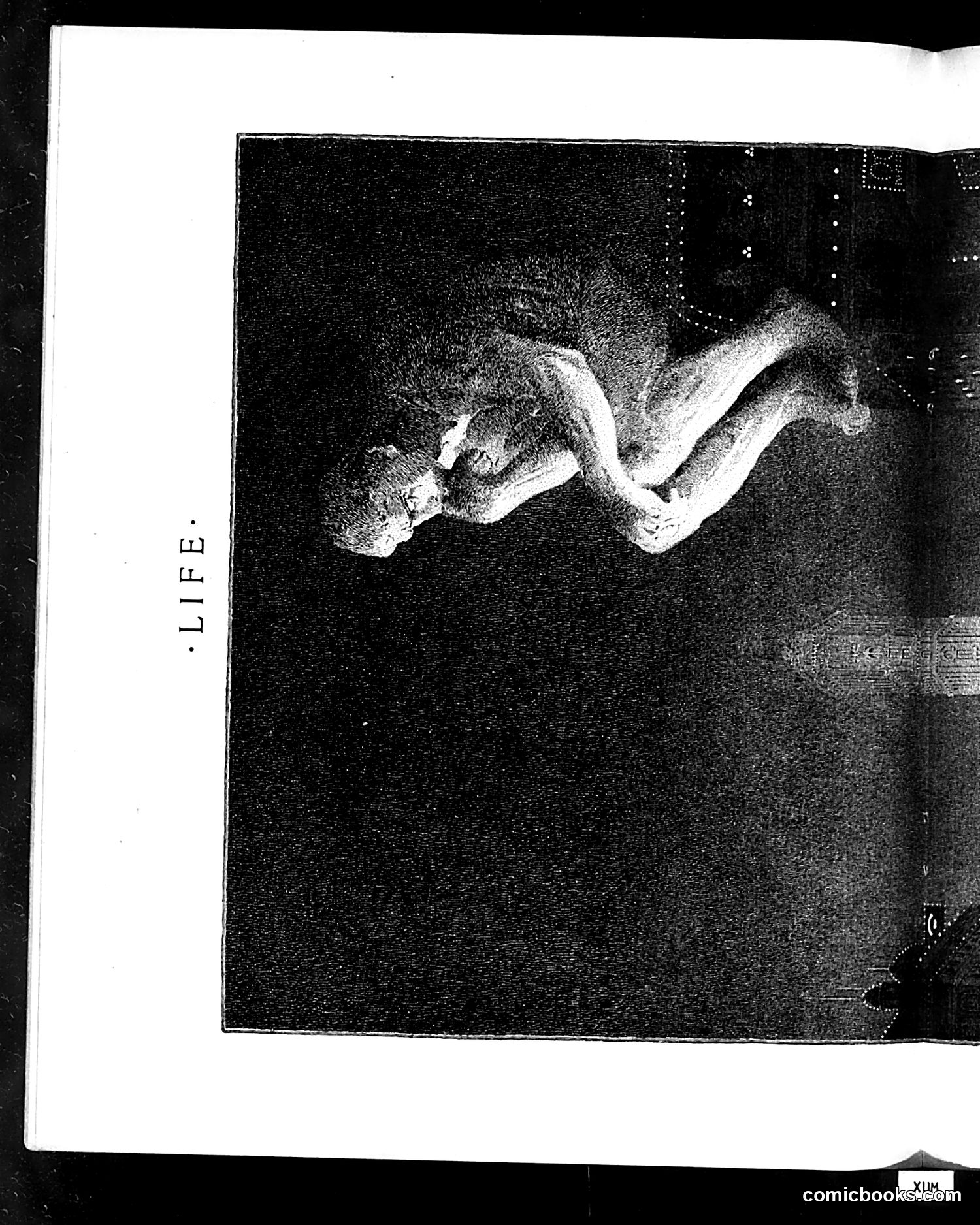 Life — October 31, 1912 — page 22 of 44