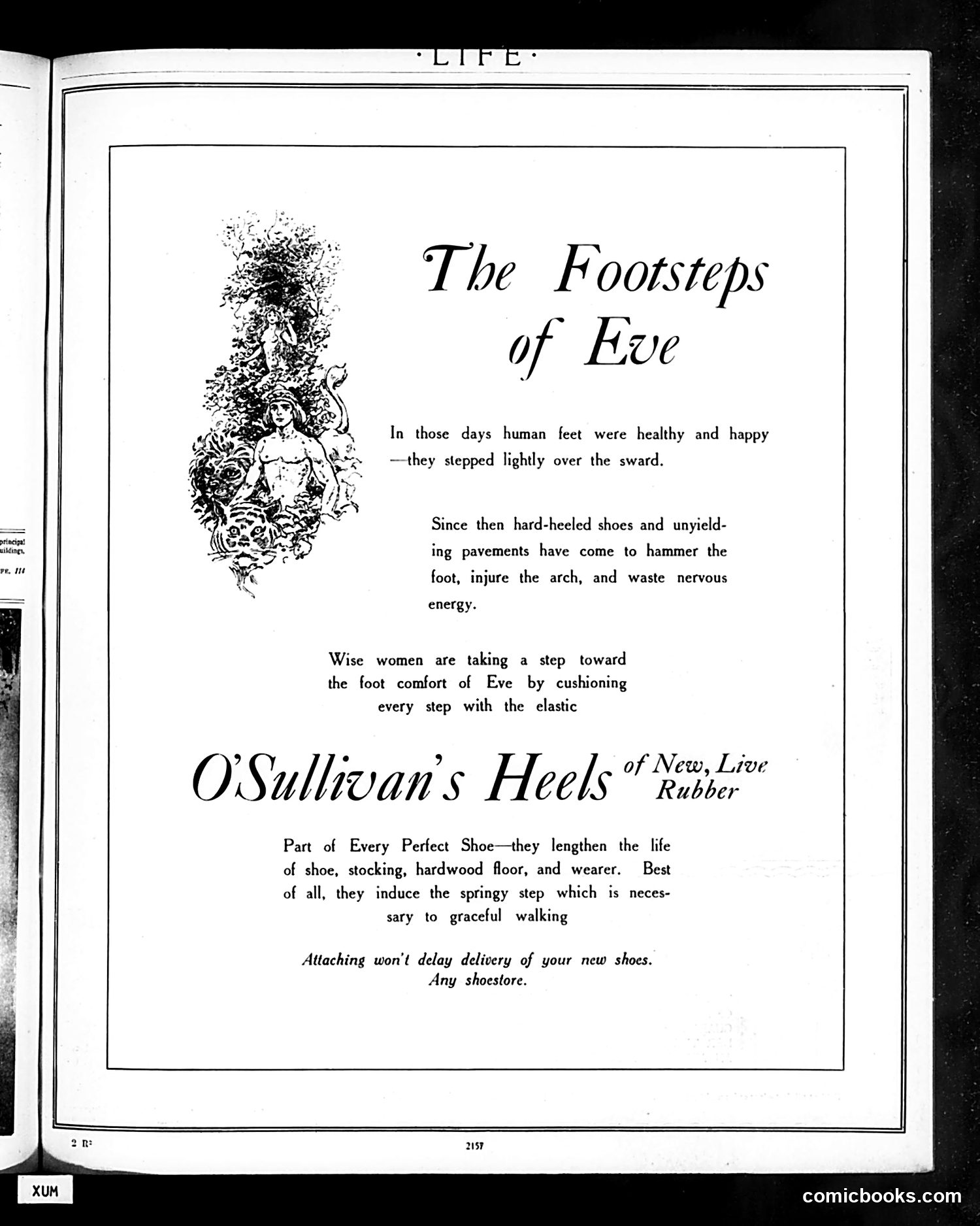 Life — November 7, 1912 — page 37 of 60