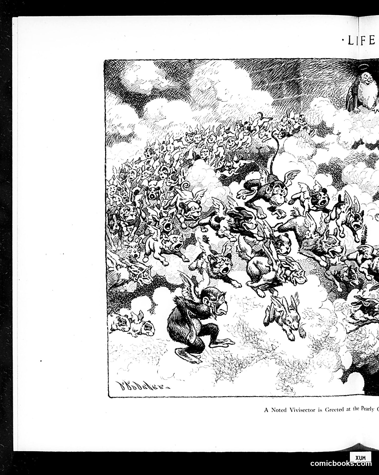 Life — November 21, 1912 — page 22 of 44
