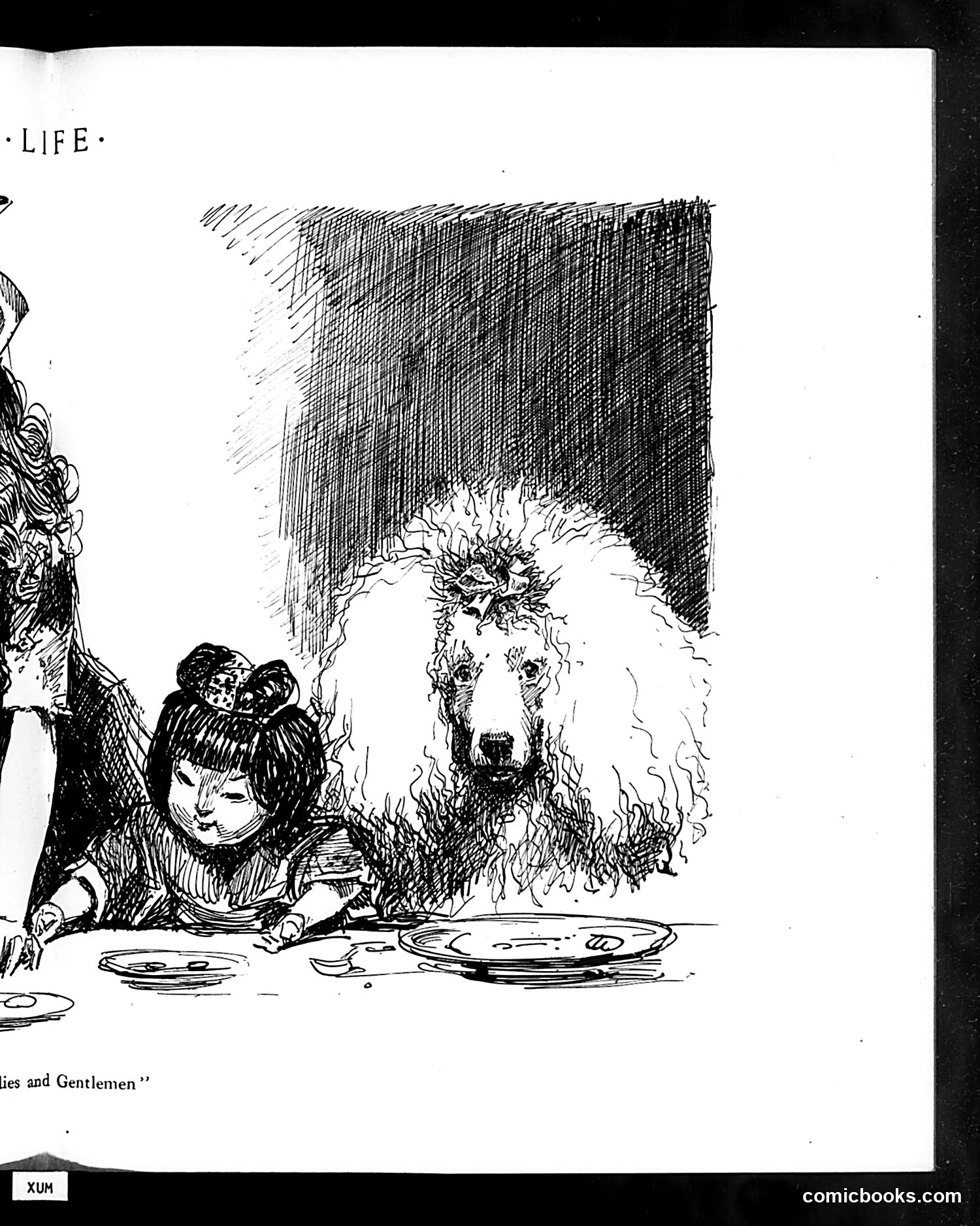 Life — November 28, 1912 — page 23 of 44