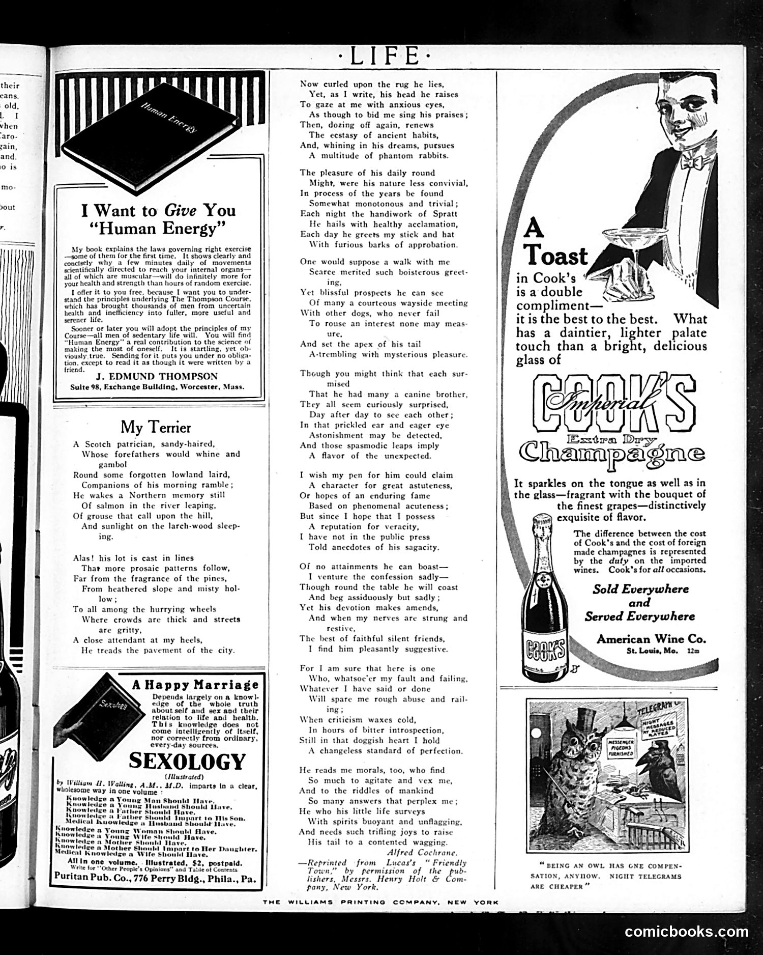Life — January 16, 1913 — page 37 of 40