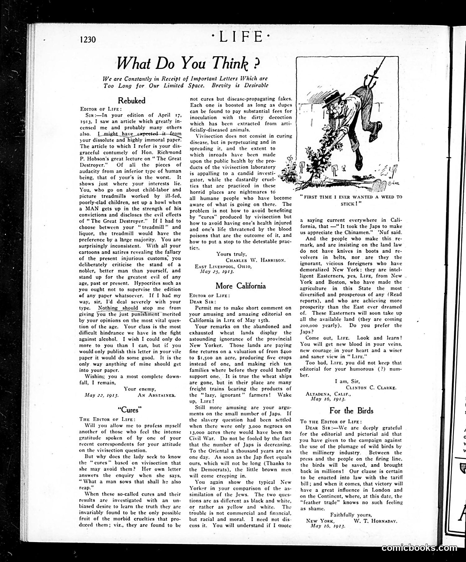Life — June 19, 1913 — page 34 of 52