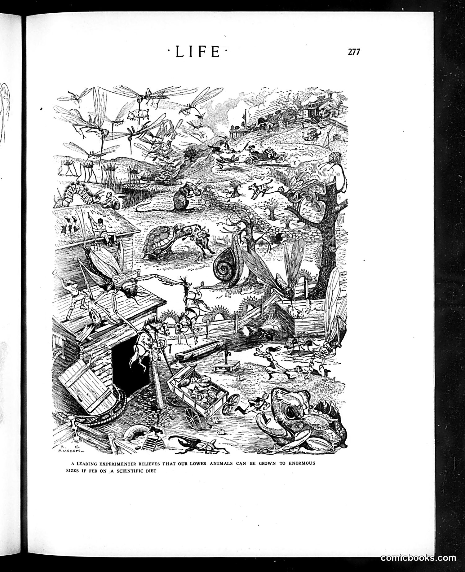 Life — August 14, 1913 — page 25 of 40
