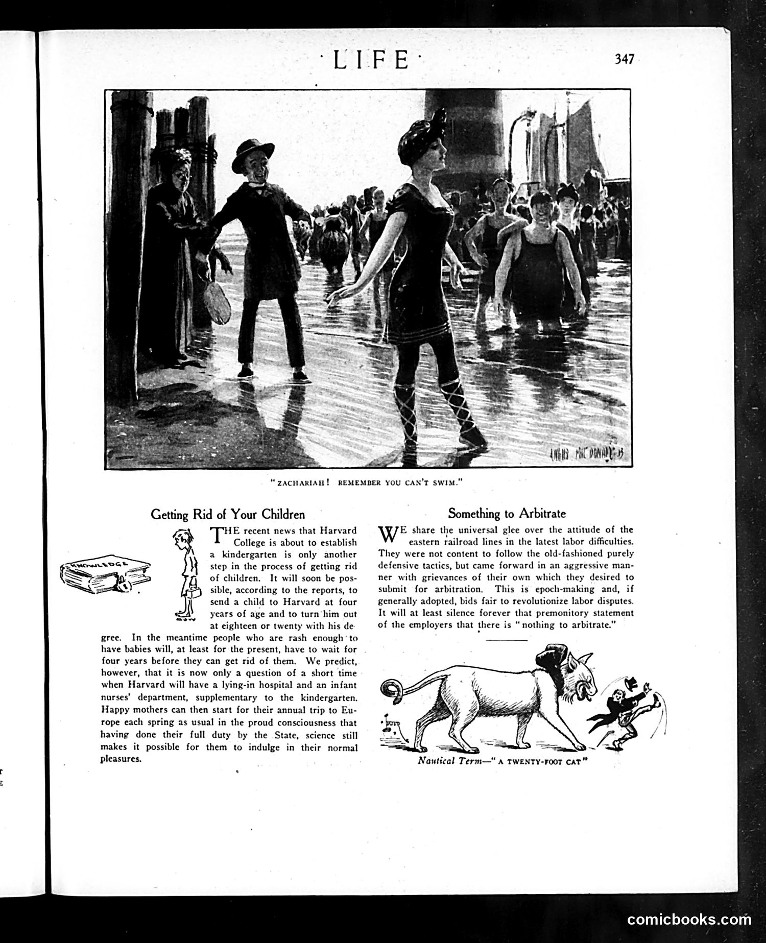 Life — August 28, 1913 — page 15 of 40