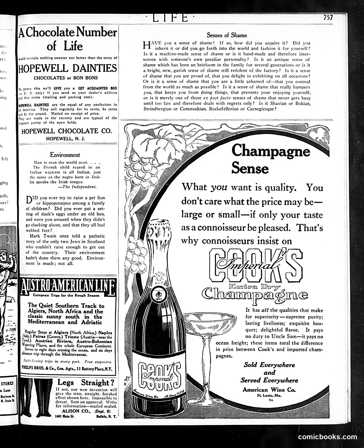 Life — October 30, 1913 — page 37 of 40