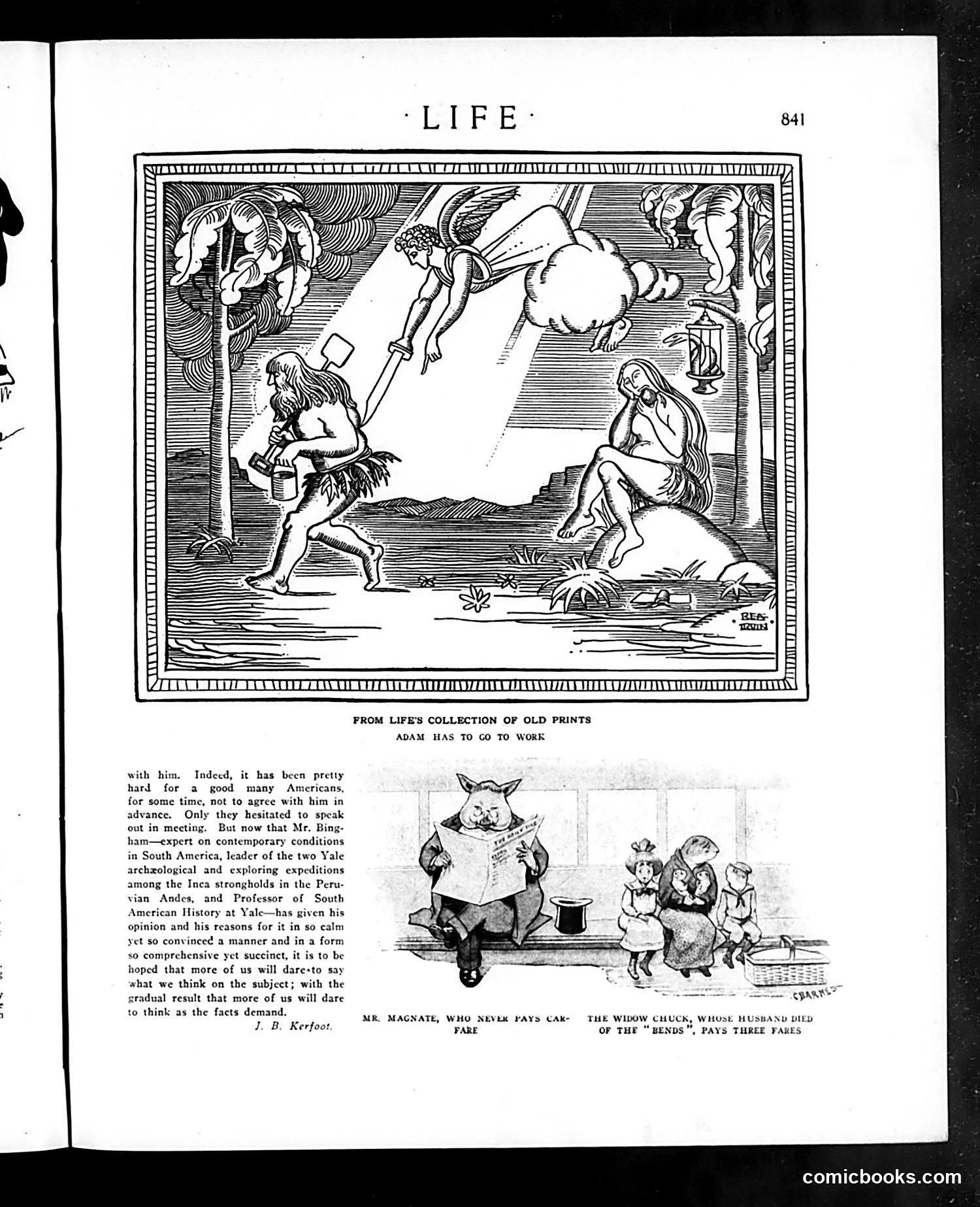Life — November 13, 1913 — page 25 of 40