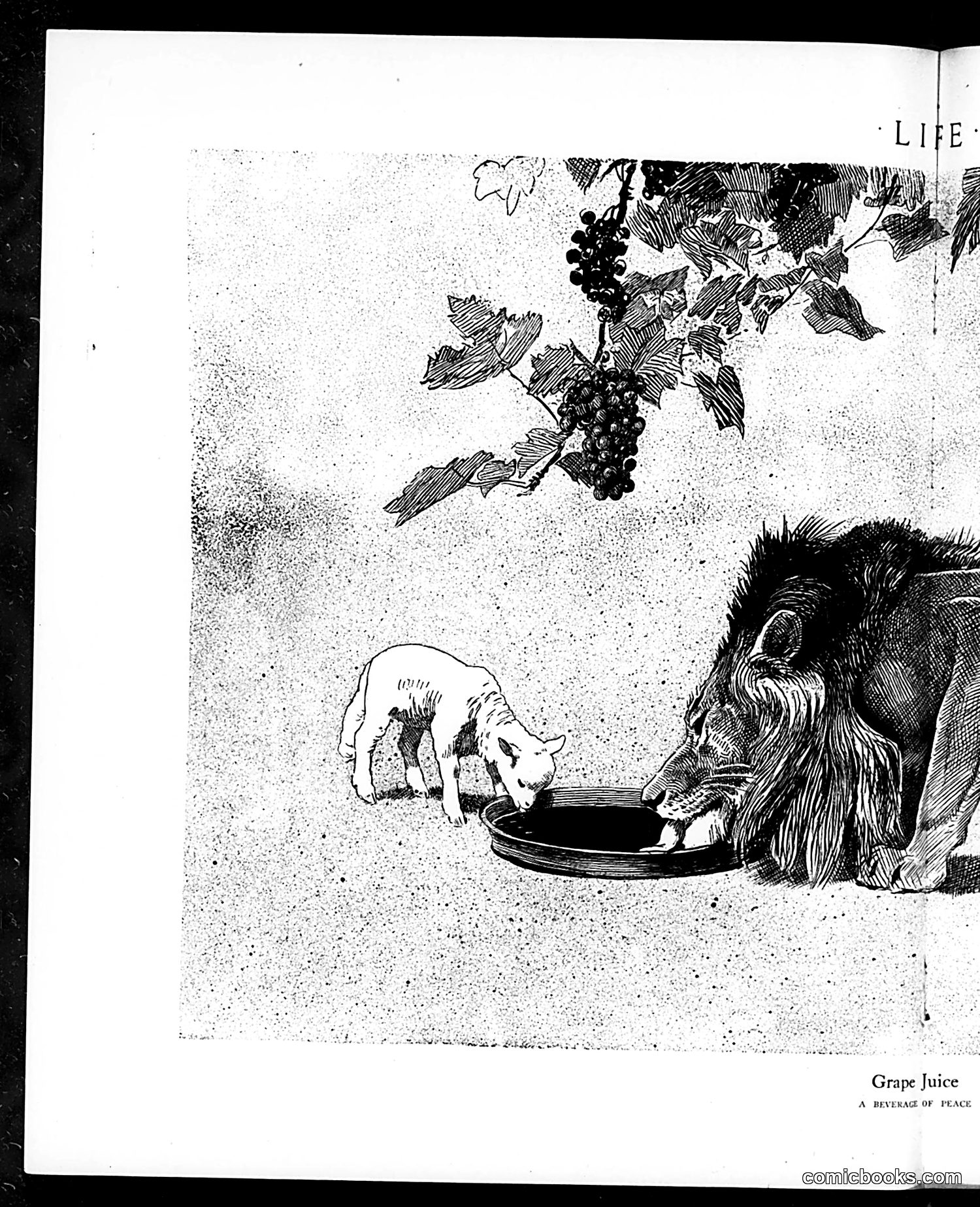 Life — March 12, 1914 — page 22 of 44