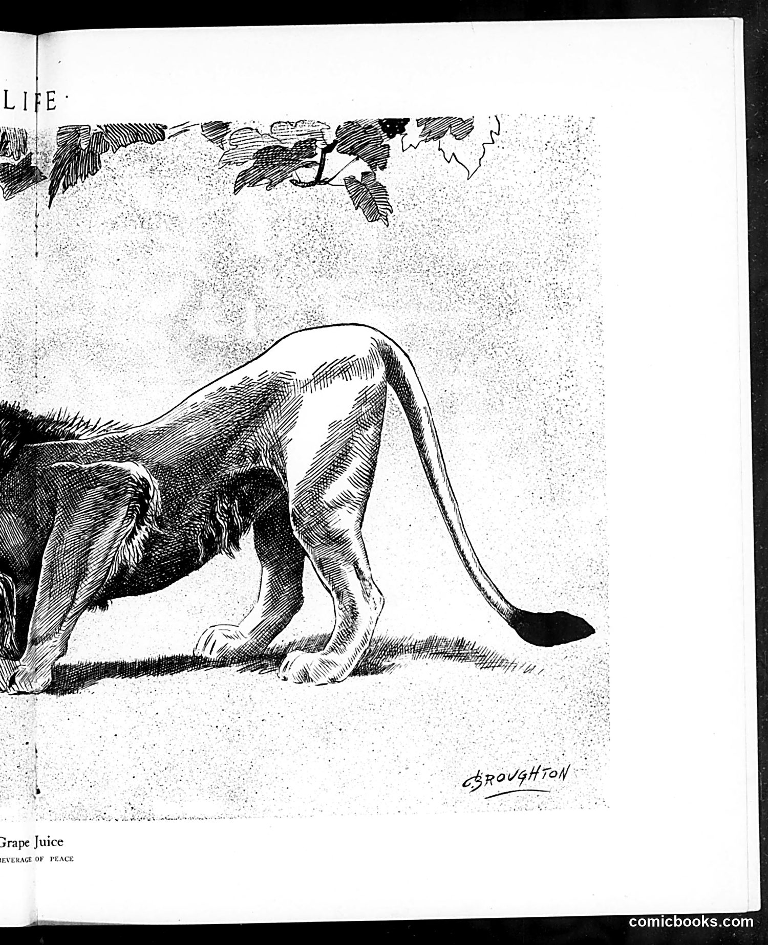 Life — March 12, 1914 — page 23 of 44
