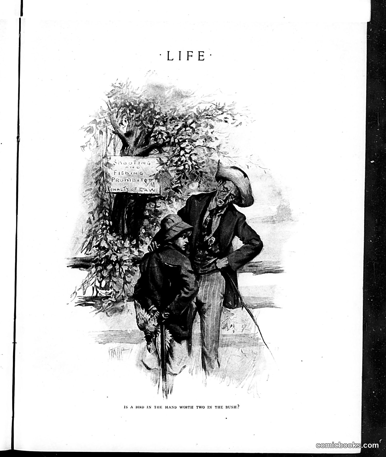 Life — June 25, 1914 — page 17 of 45